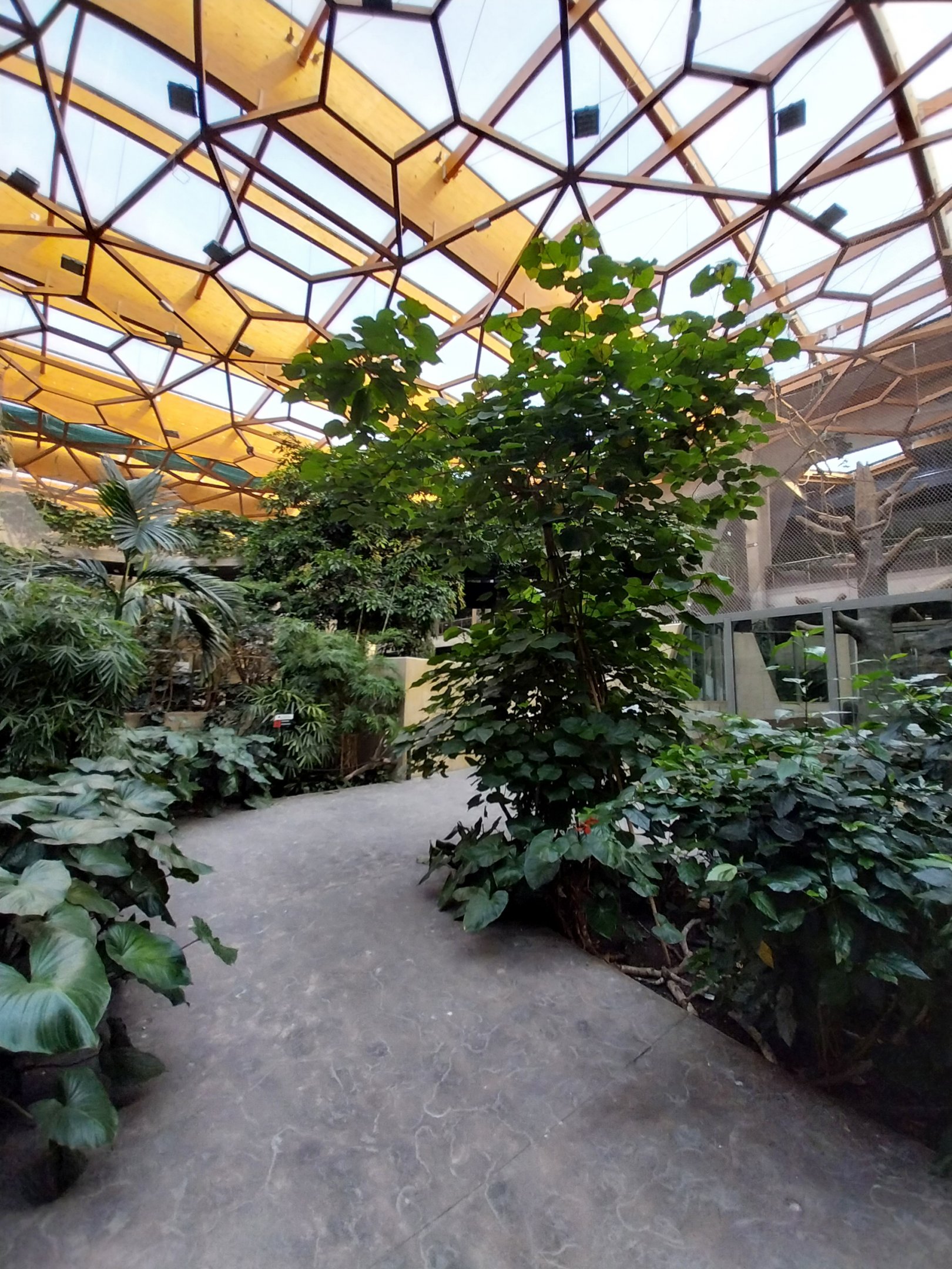 Orientarium - Jungle Hall - General view