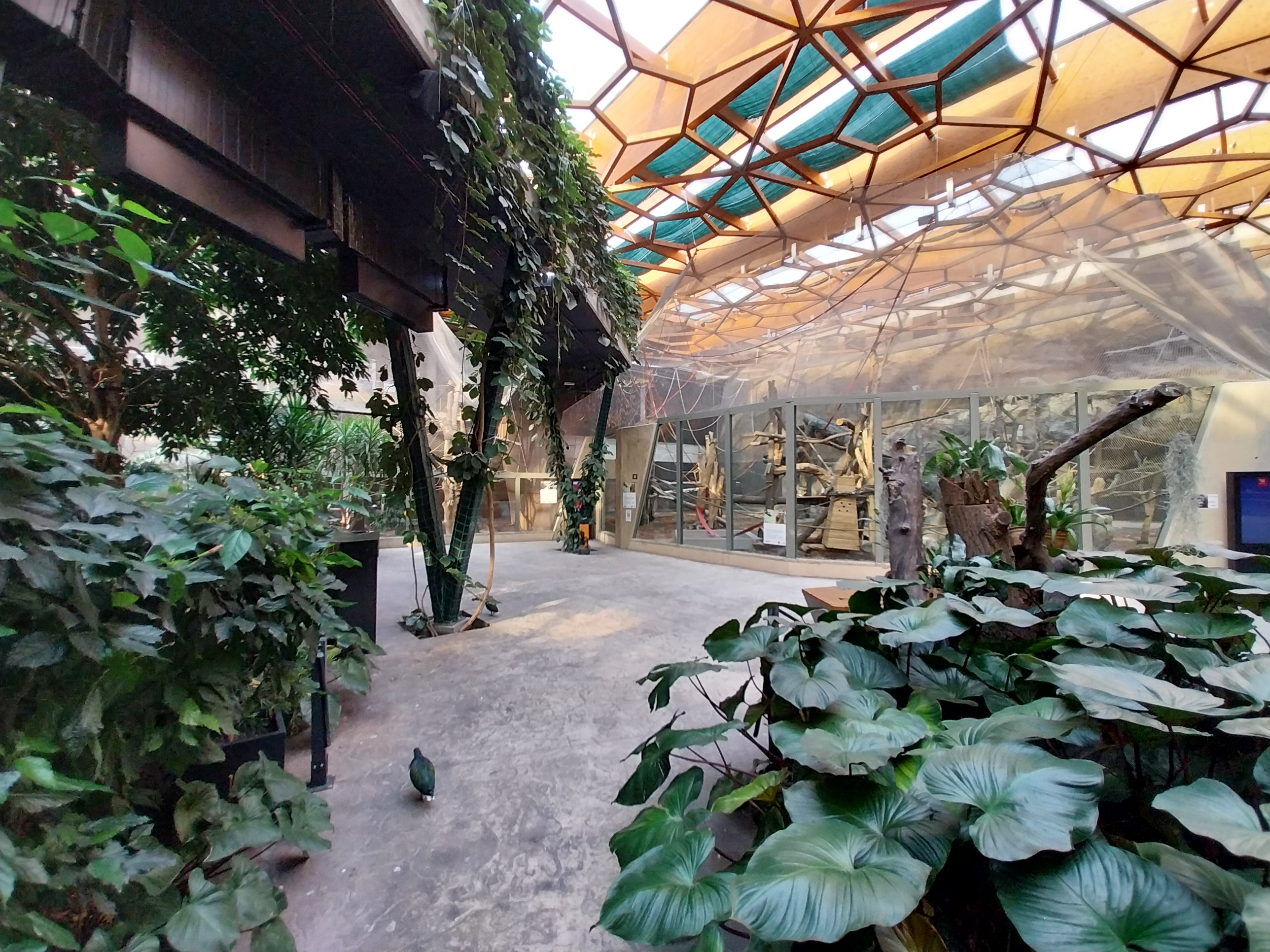 Orientarium - Jungle Hall - General view