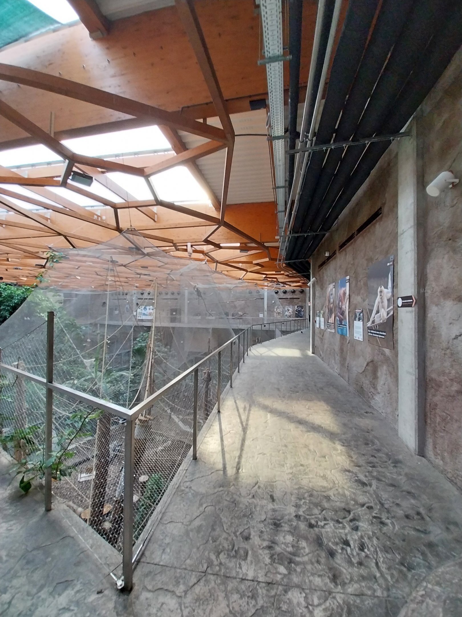 Orientarium - Jungle Hall - General view