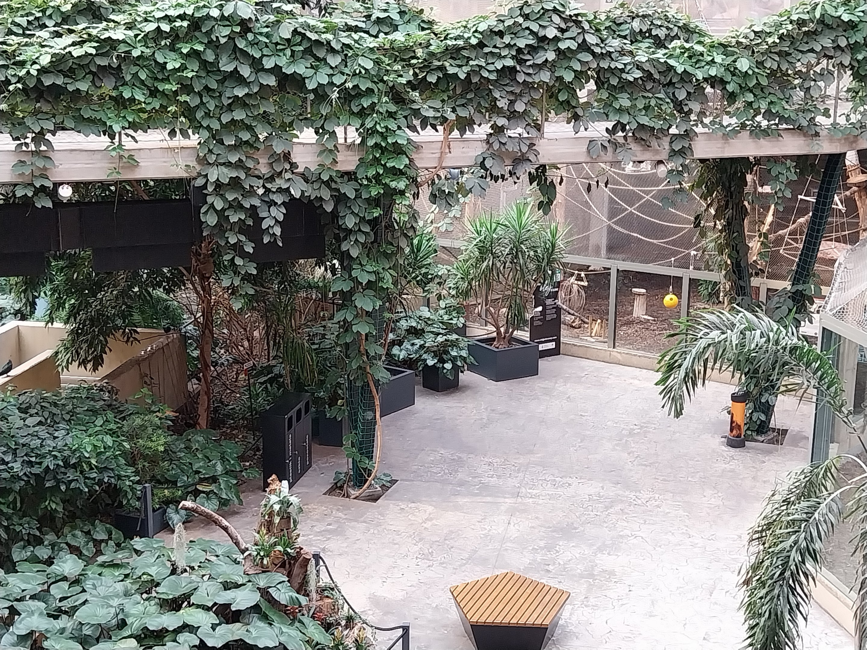 Orientarium - Jungle Hall - General view