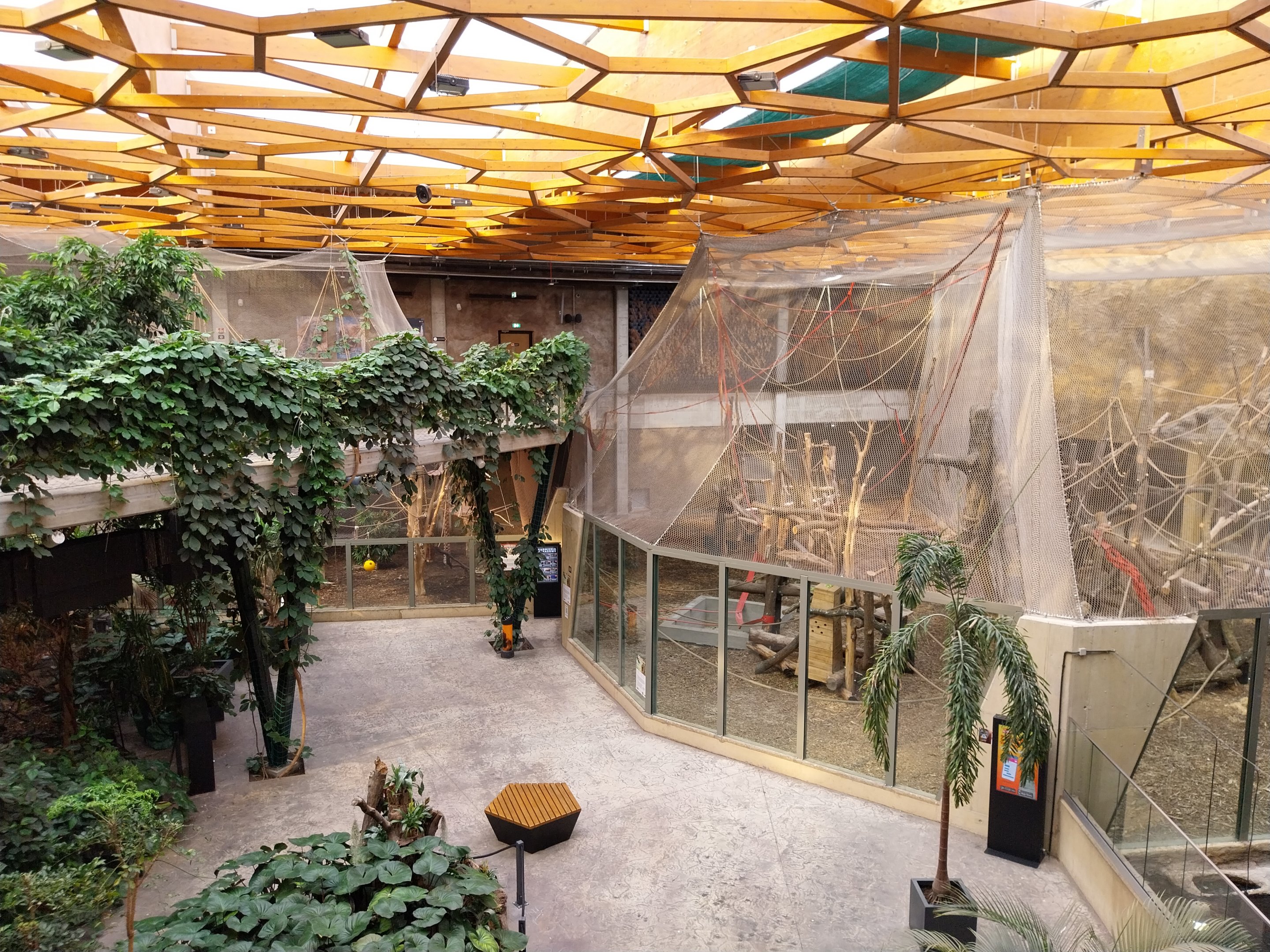 Orientarium - Jungle Hall - General view