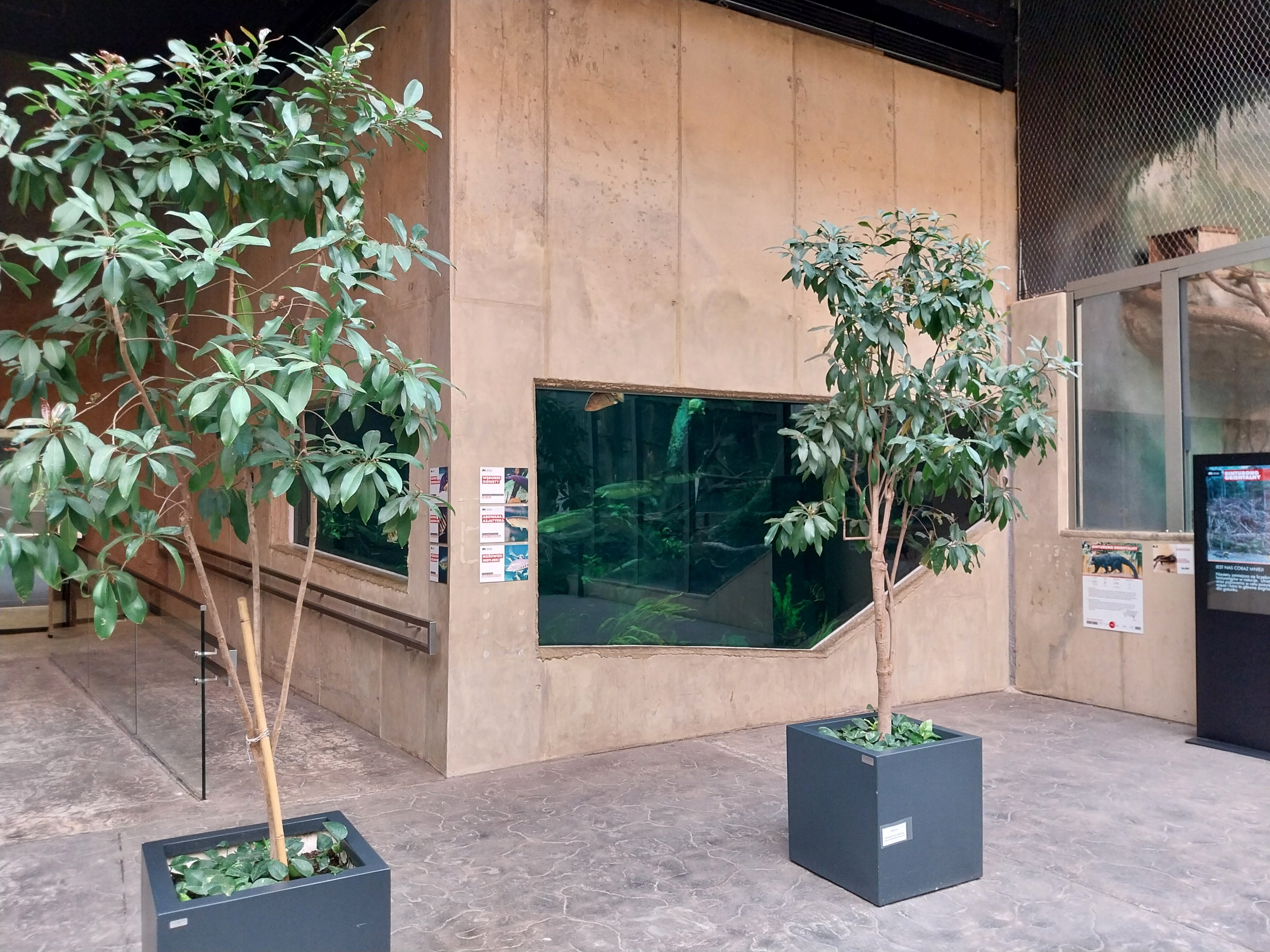 Orientarium - Jungle Hall - Southeast Asian Rivers