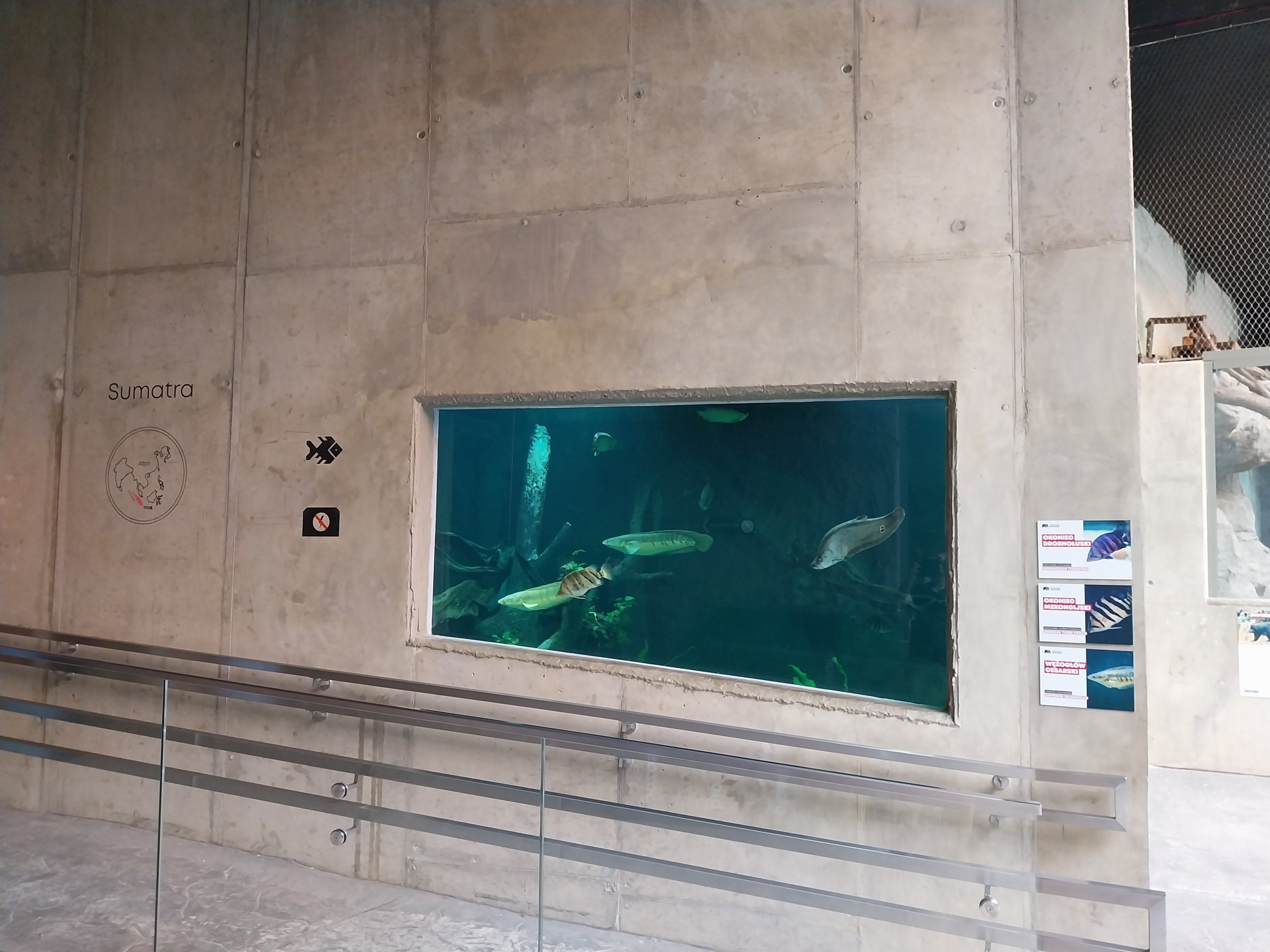 Orientarium - Jungle Hall - Southeast Asian Rivers