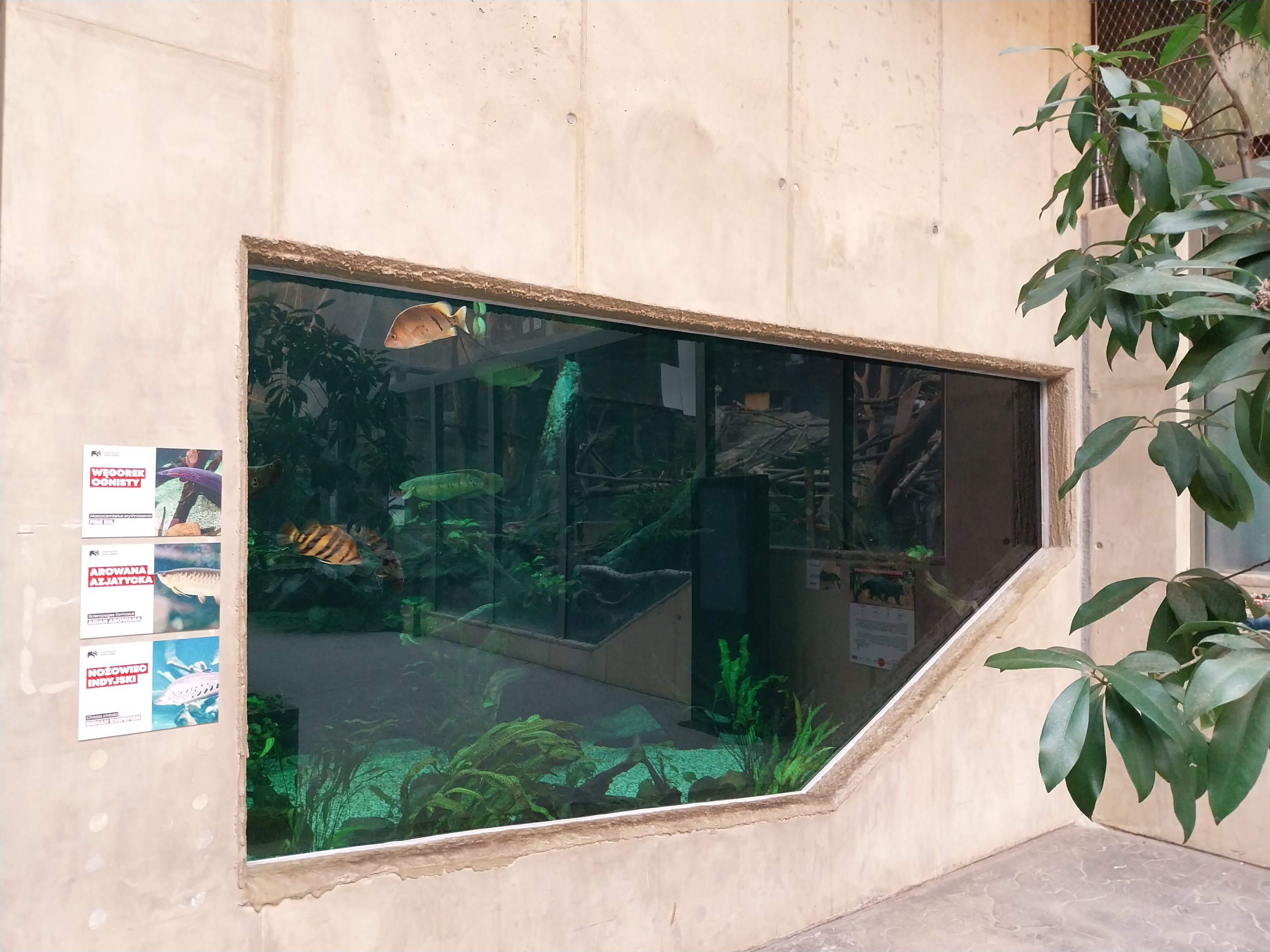 Orientarium - Jungle Hall - Southeast Asian Rivers