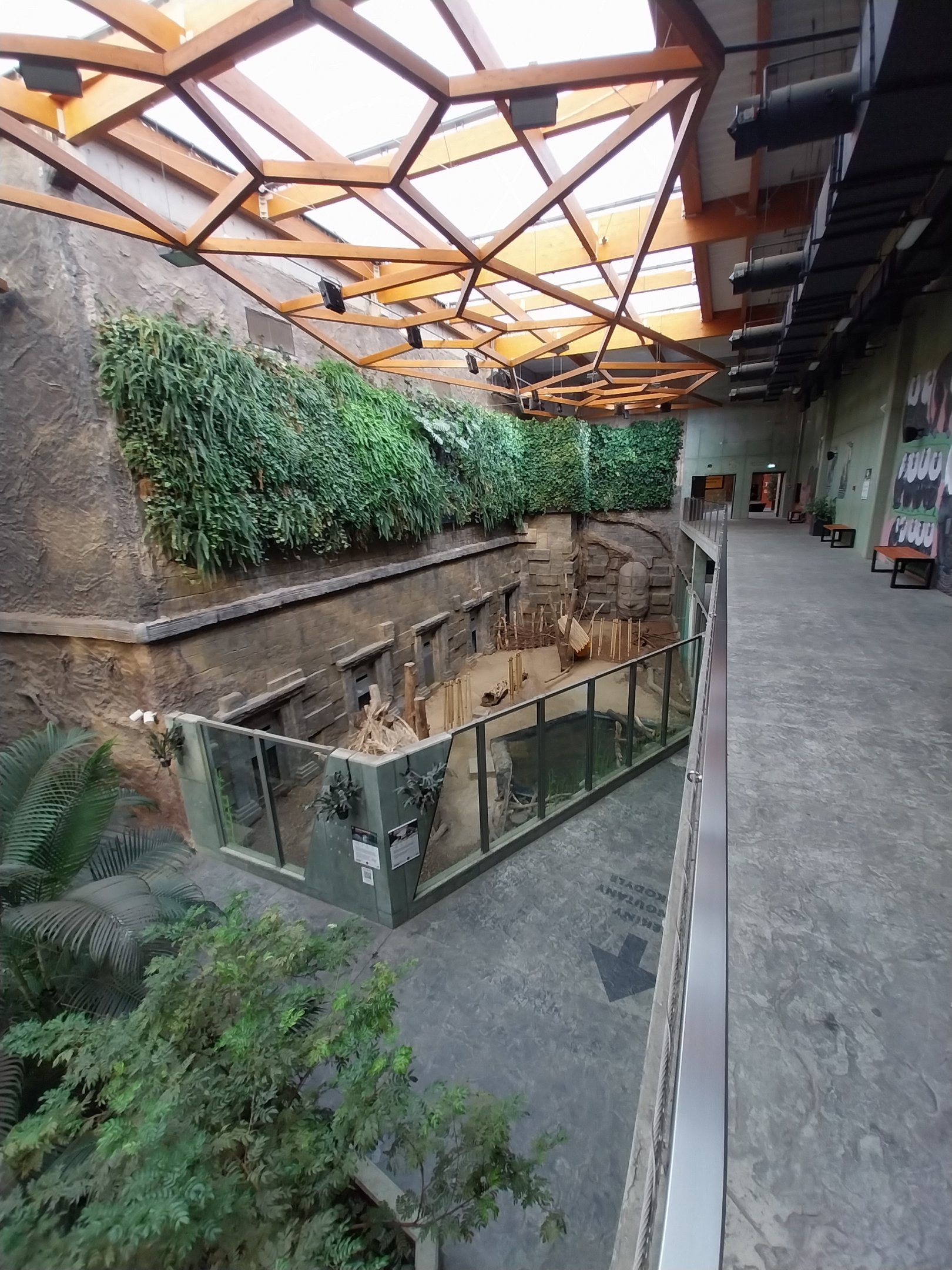 Orientarium - Temple hall - Malayan Tapir (Tapirus indicus) and Asian Small-clawed Otter (Aonyx cinerea)