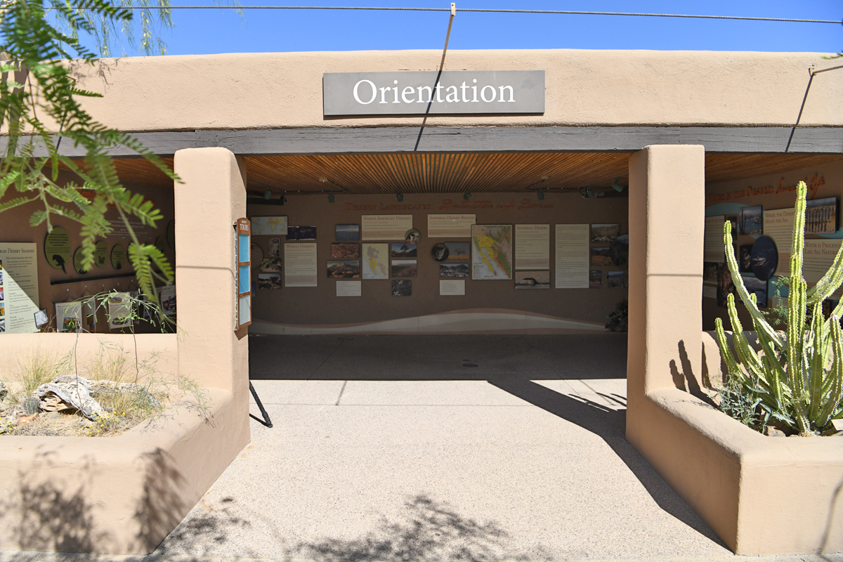 orientation plaza (former jaguar)