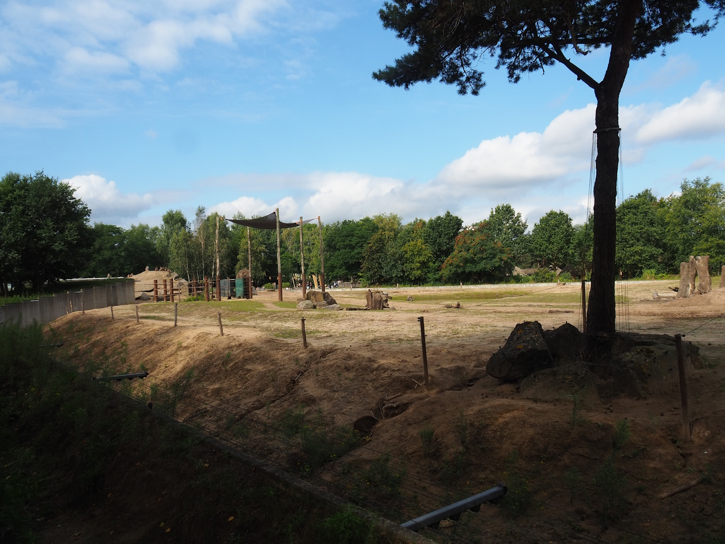 Original African bush elephant and Hamadryas baboon exhibit, now housing non-breeding elephant herd, 2023-08-15