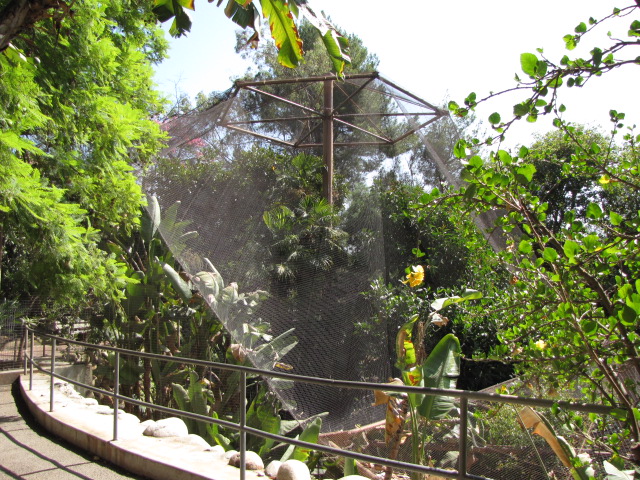 Original Aviary Circa 1966