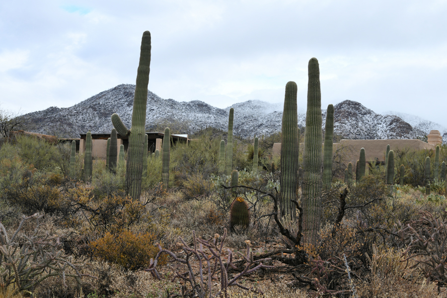 original building (snow behind)