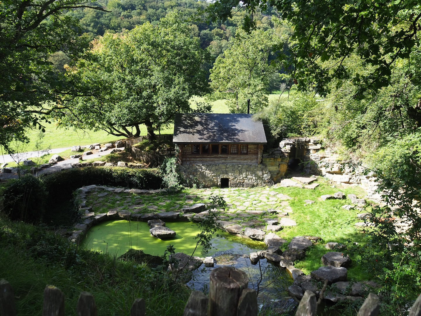 Original European brown bear exhibit, 2023-09-26
