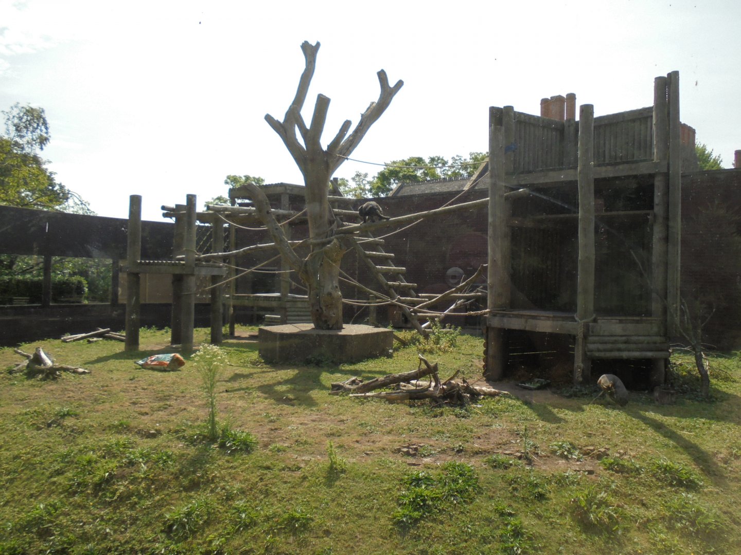 Original Gorilla house.