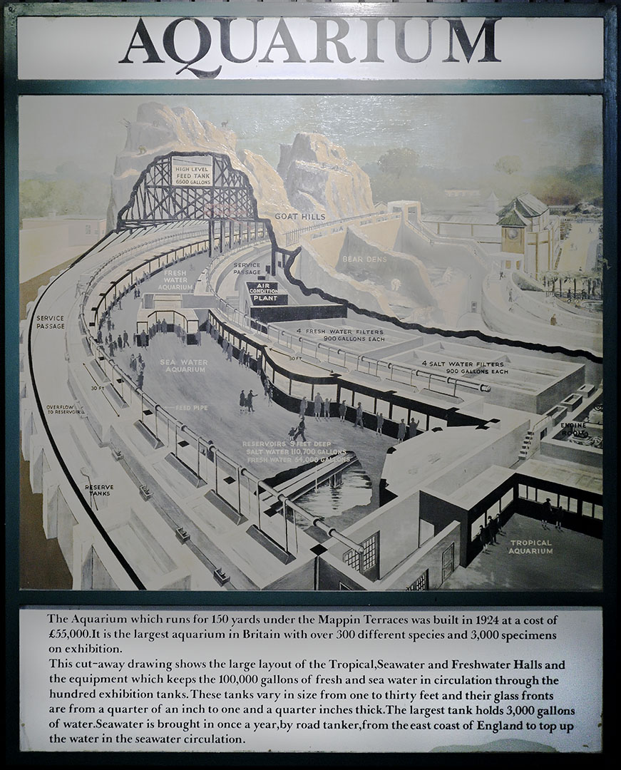 Original graphic about the Aquarium