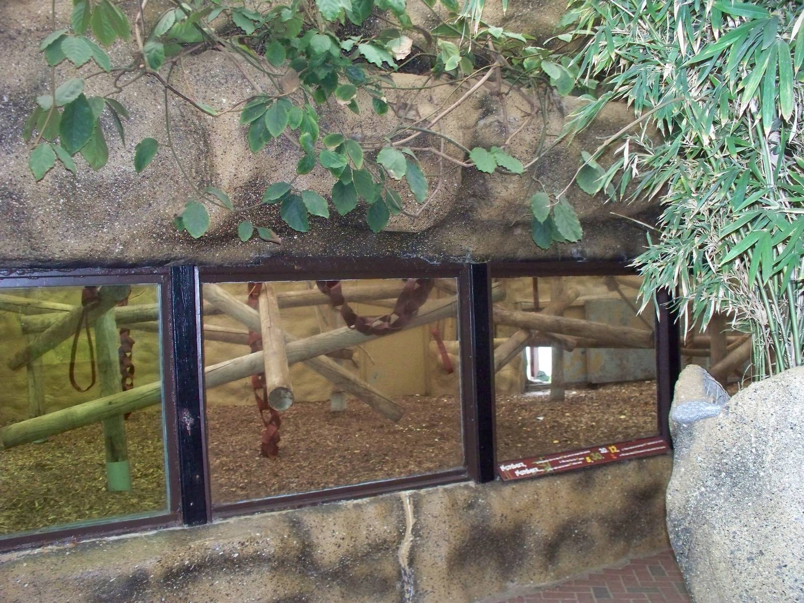 original lion night quarters sitting area