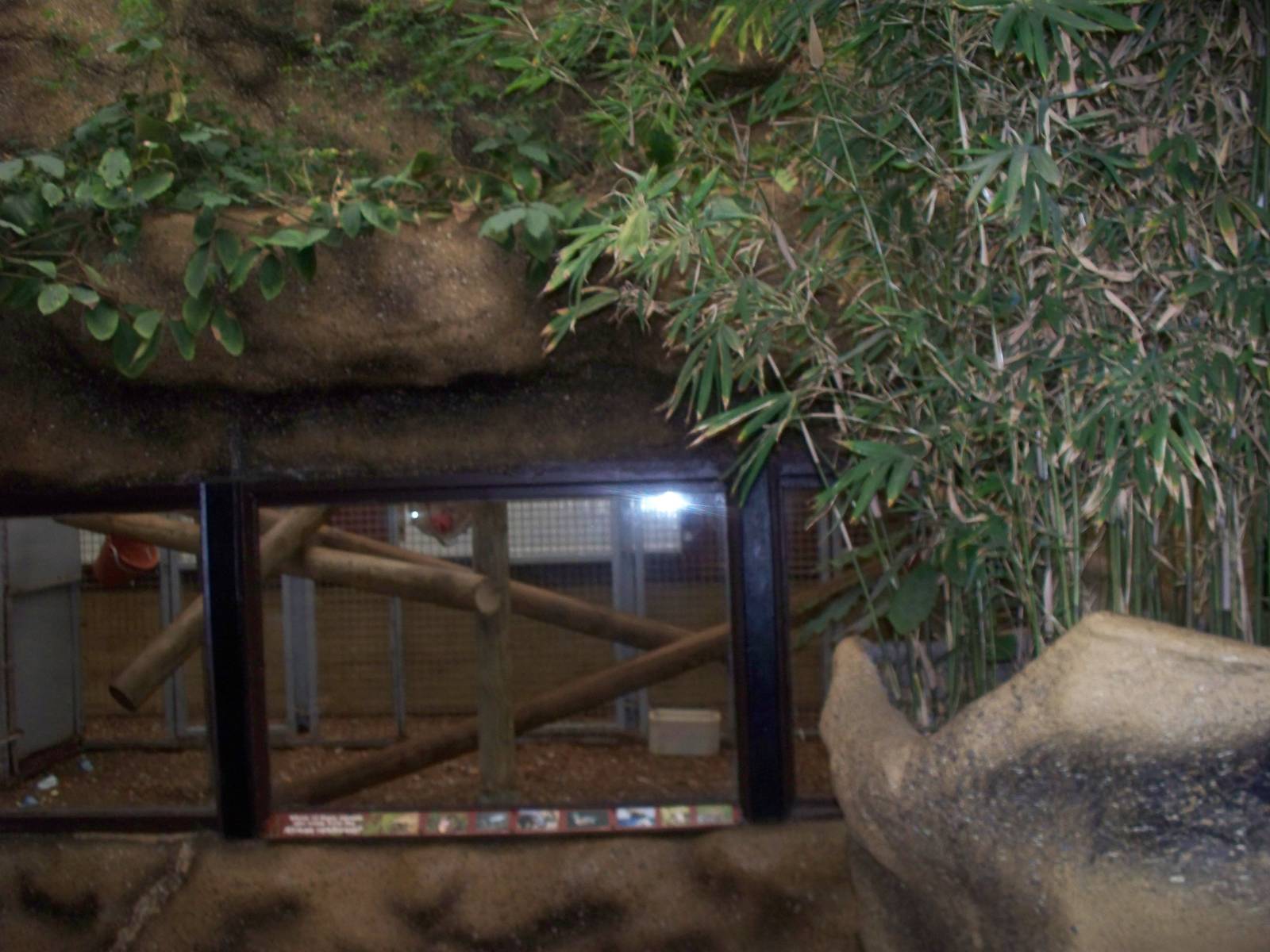 original lion night quarters sleping area