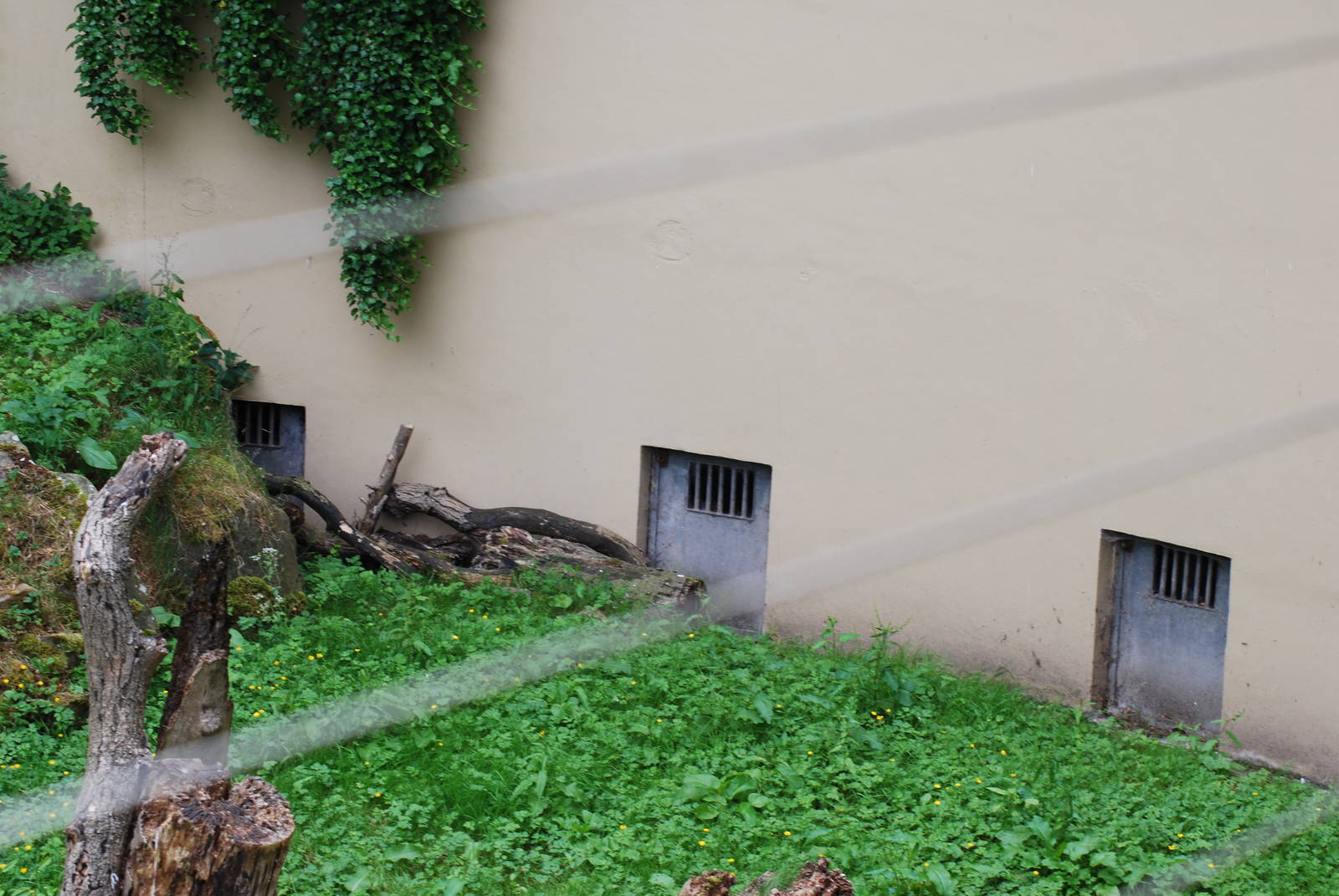 ORIGINAL NIGHT ENCLOSURES FOR THE LIONS