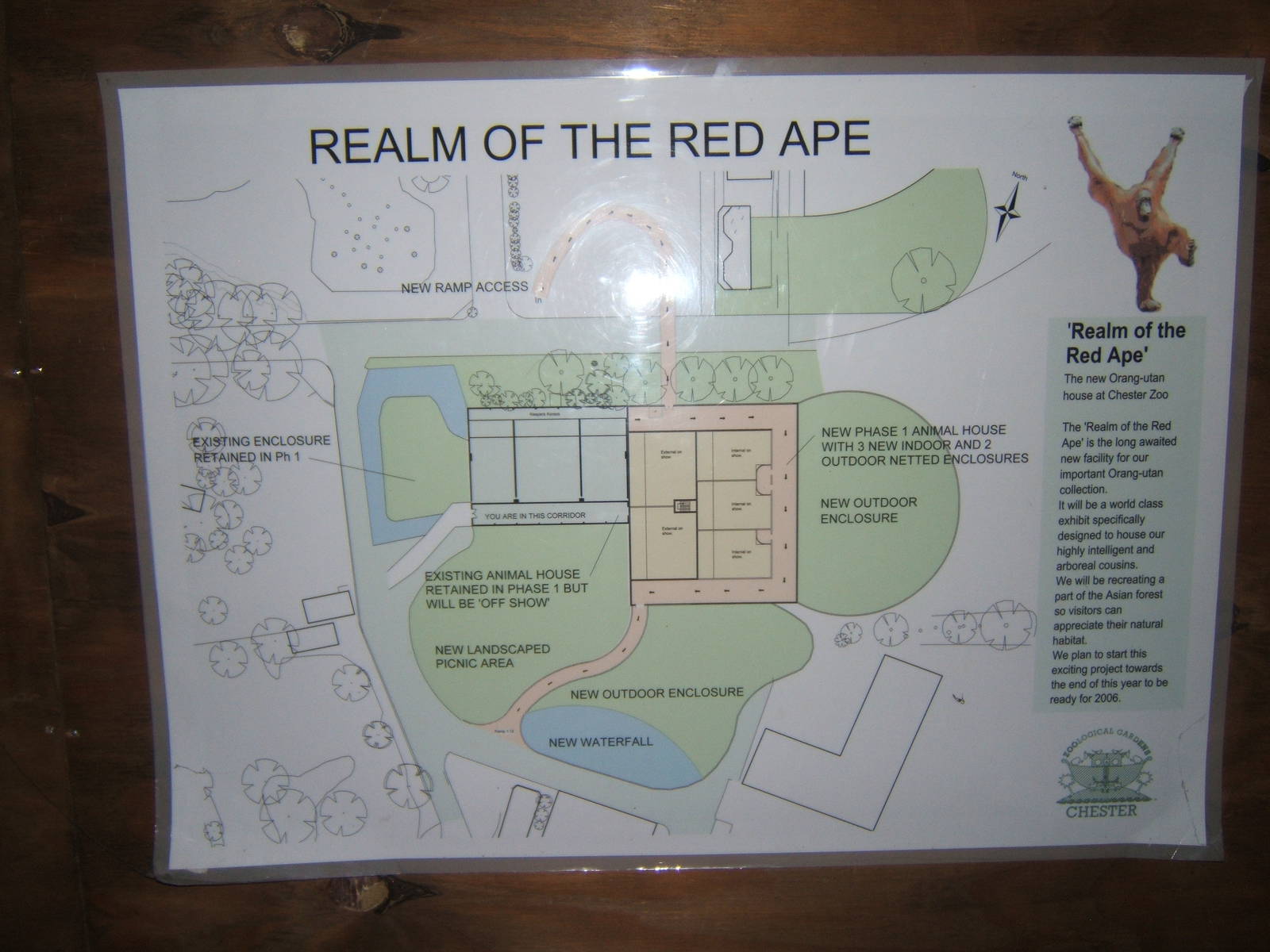 Original Plan for Realm of Red Ape