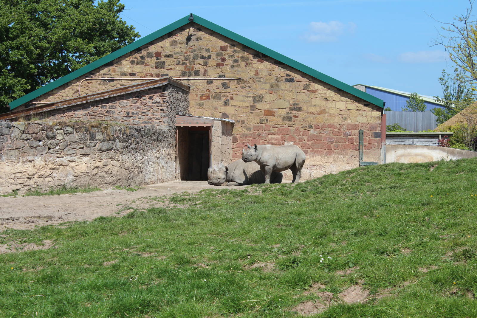 Original Rhino house - 10 June 2015