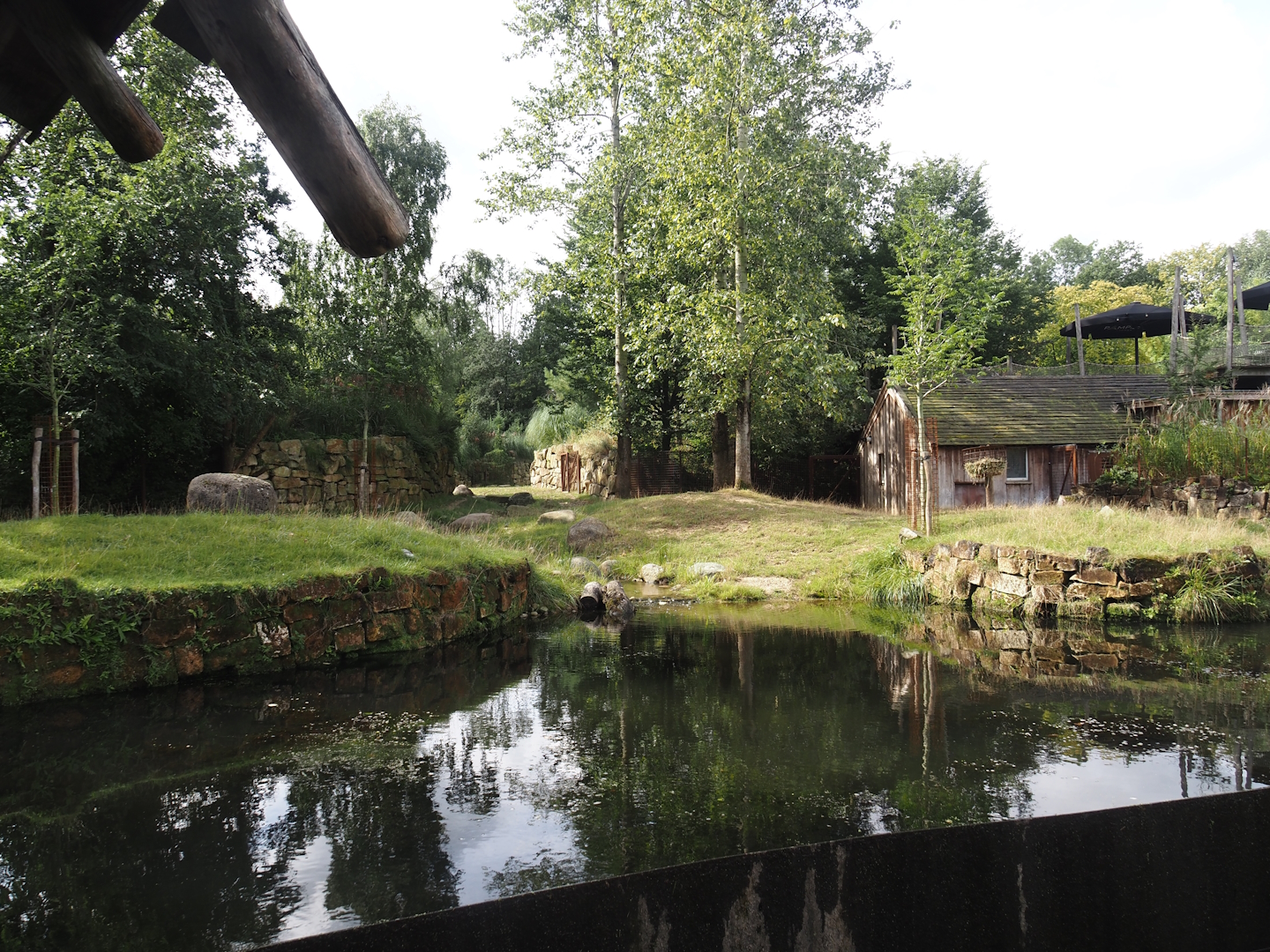 Original South American tapir exhibit, now part of mixed exhibit with South American tapir, Vicunã and Lesser rhea, 2024-08-21