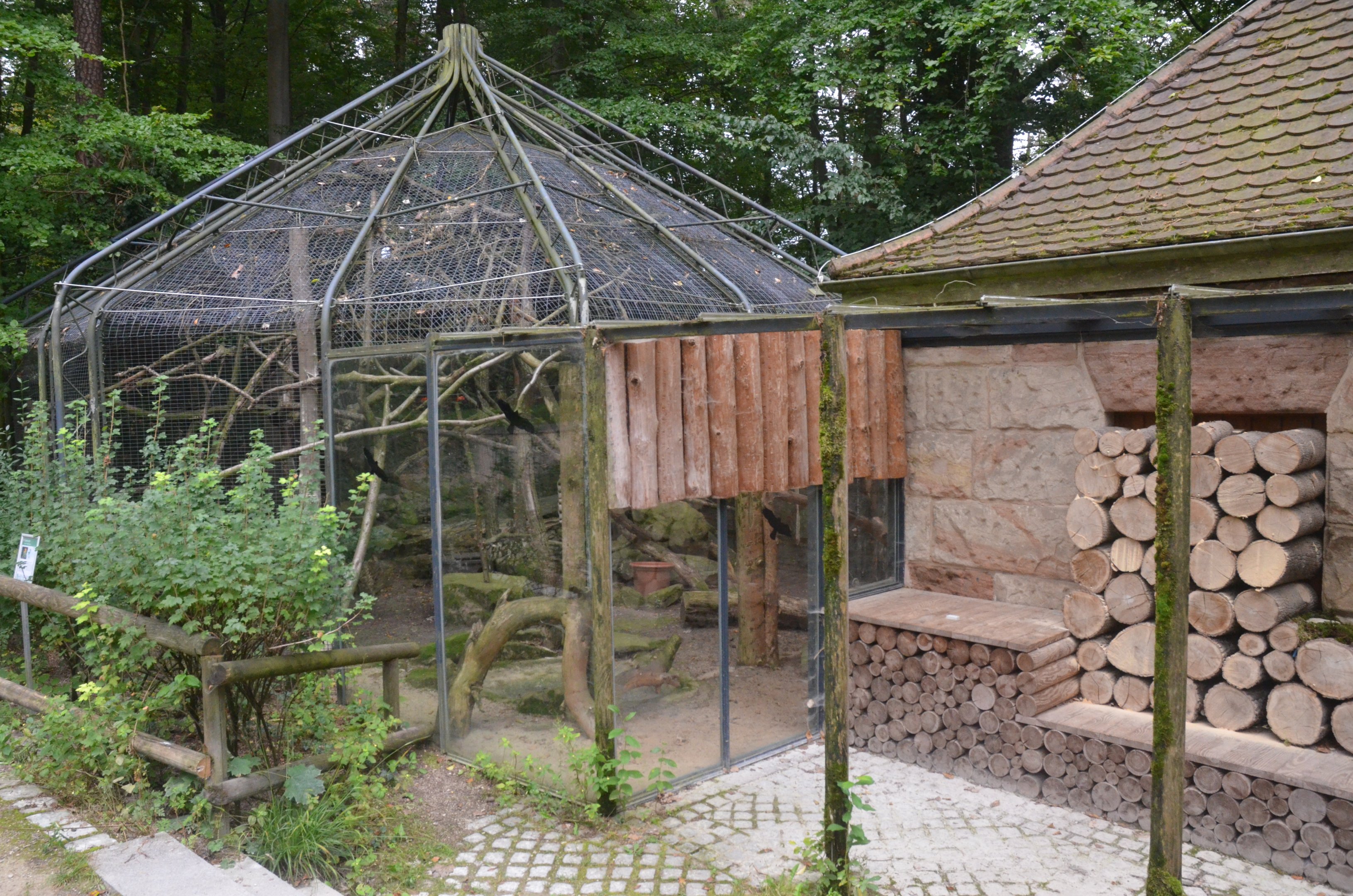 Original Yellow-throated Marten Enclosure (Now Holding Area) at Nuremberg, 08/09/19