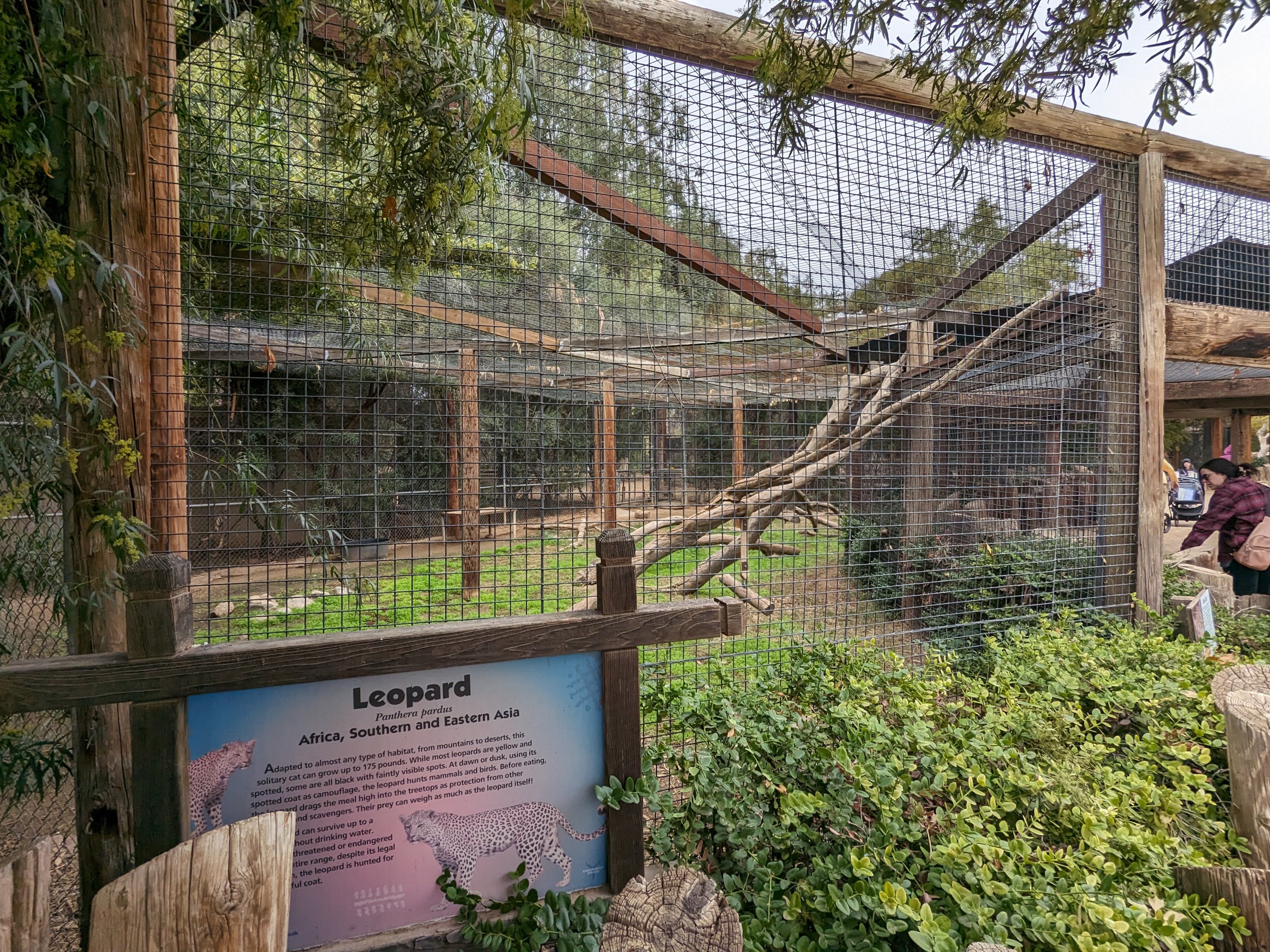Original Zoo - "African" Leopard enclosure