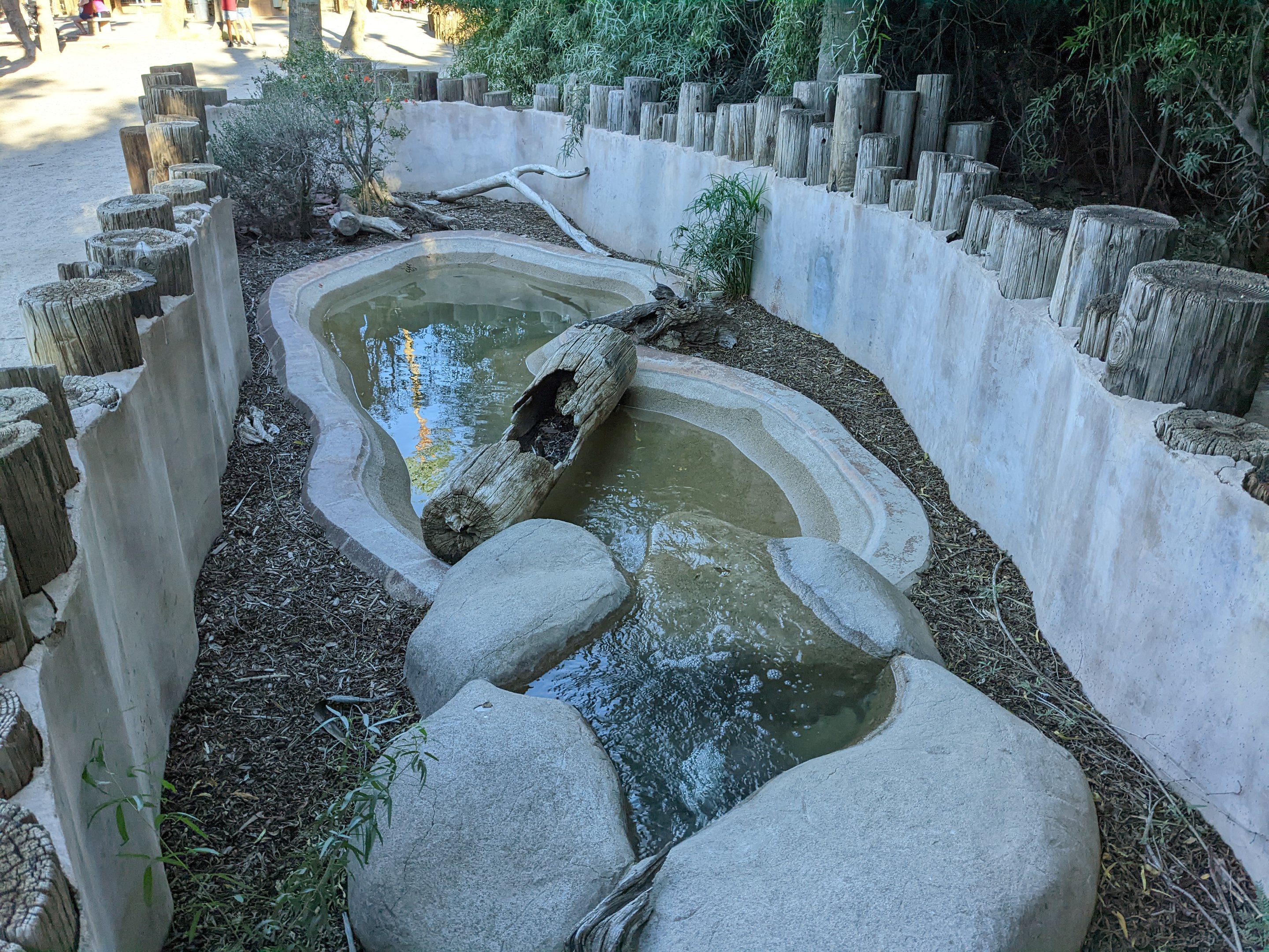 Original Zoo - common water snake