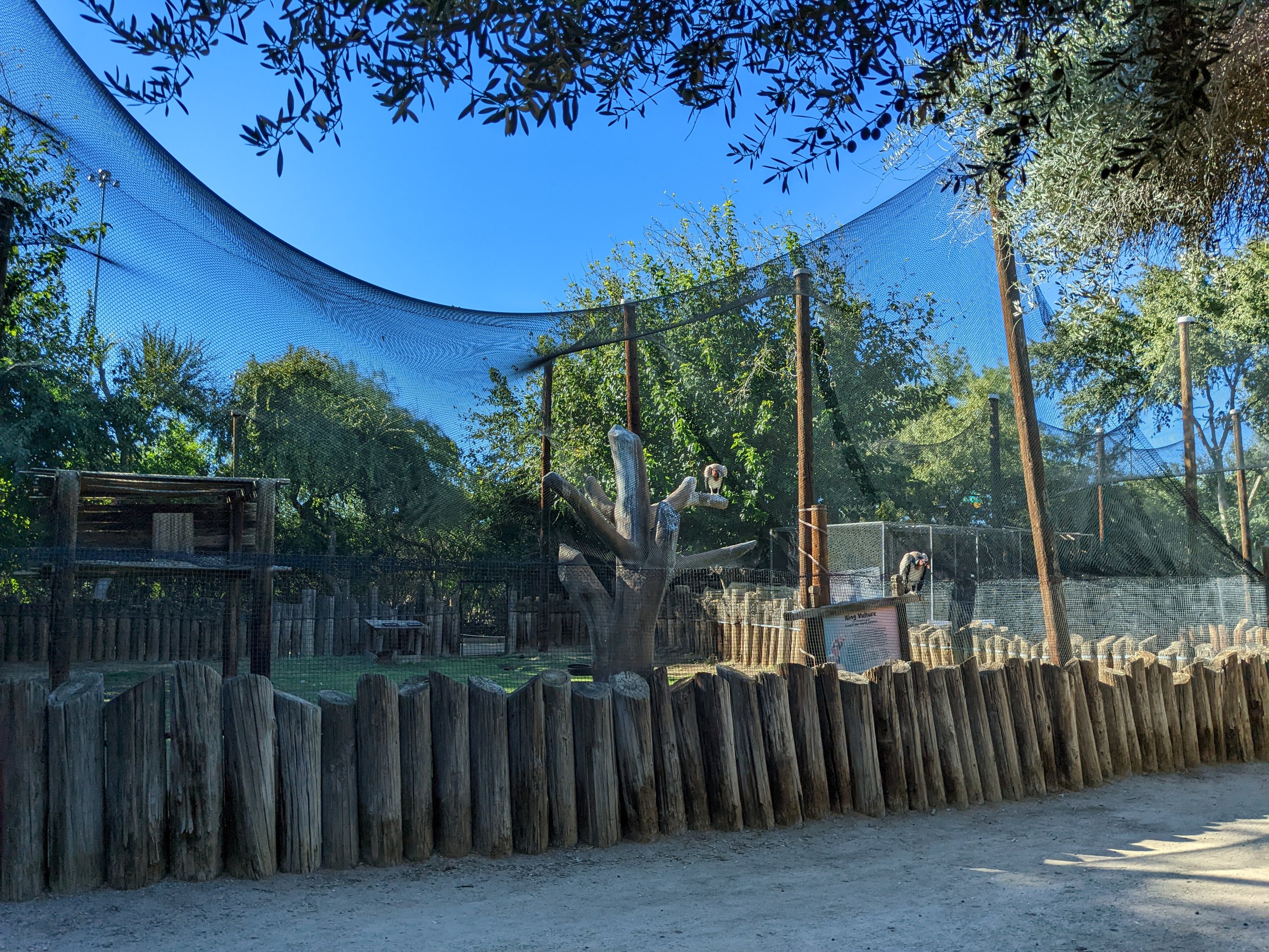 Original Zoo - King vulture aviary