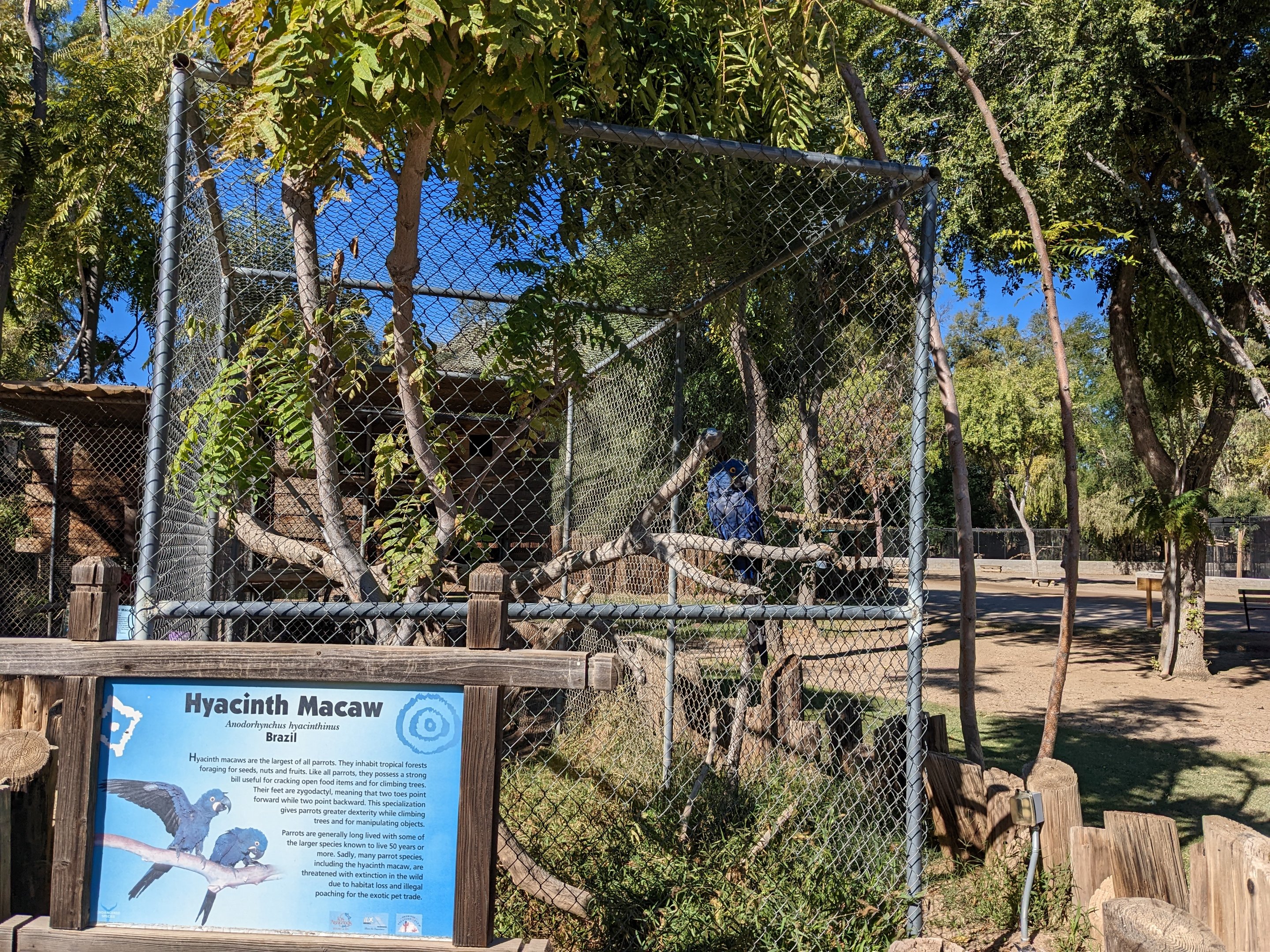 Original Zoo - Macaw aviaries