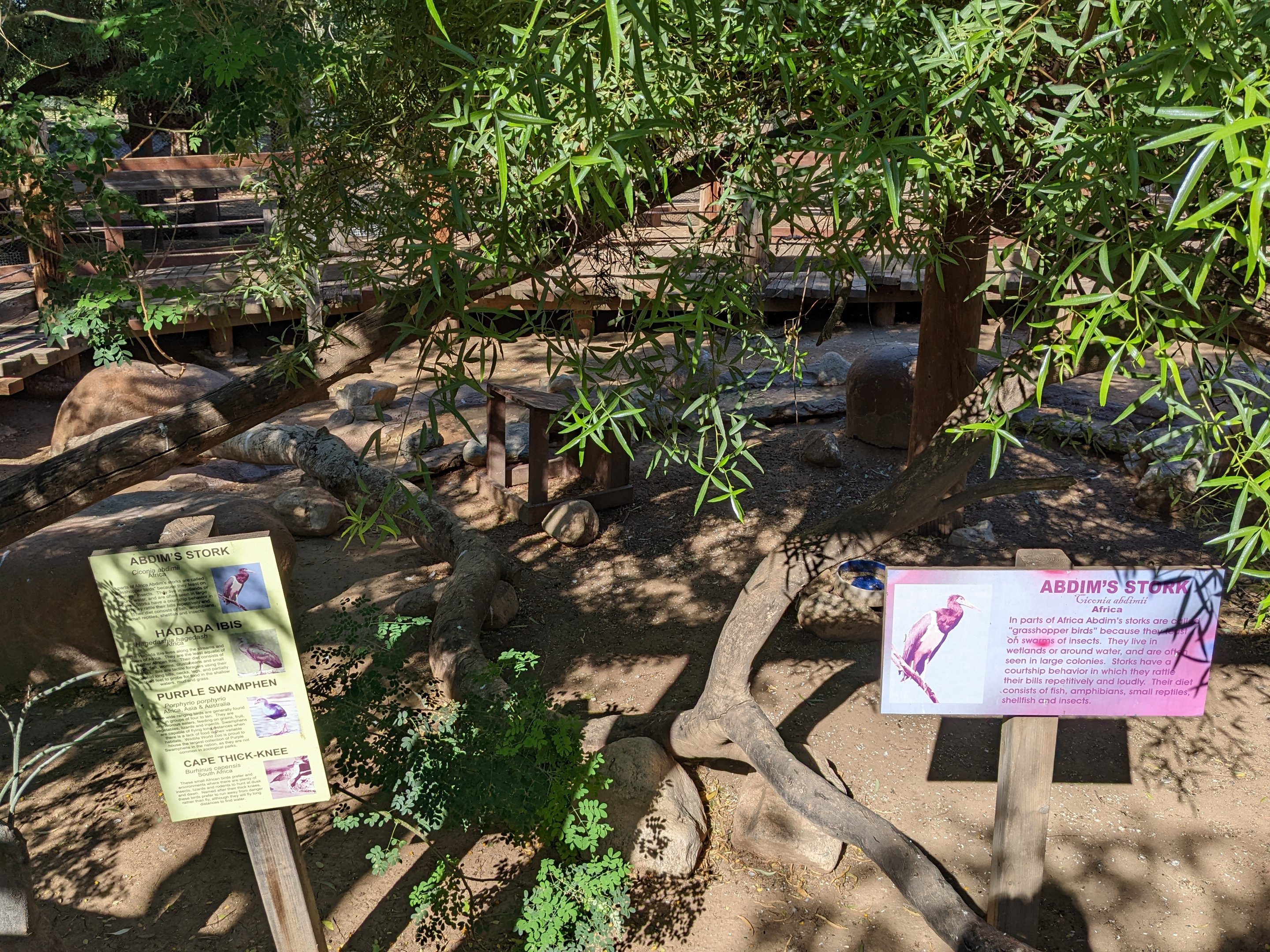 Original Zoo - main aviary