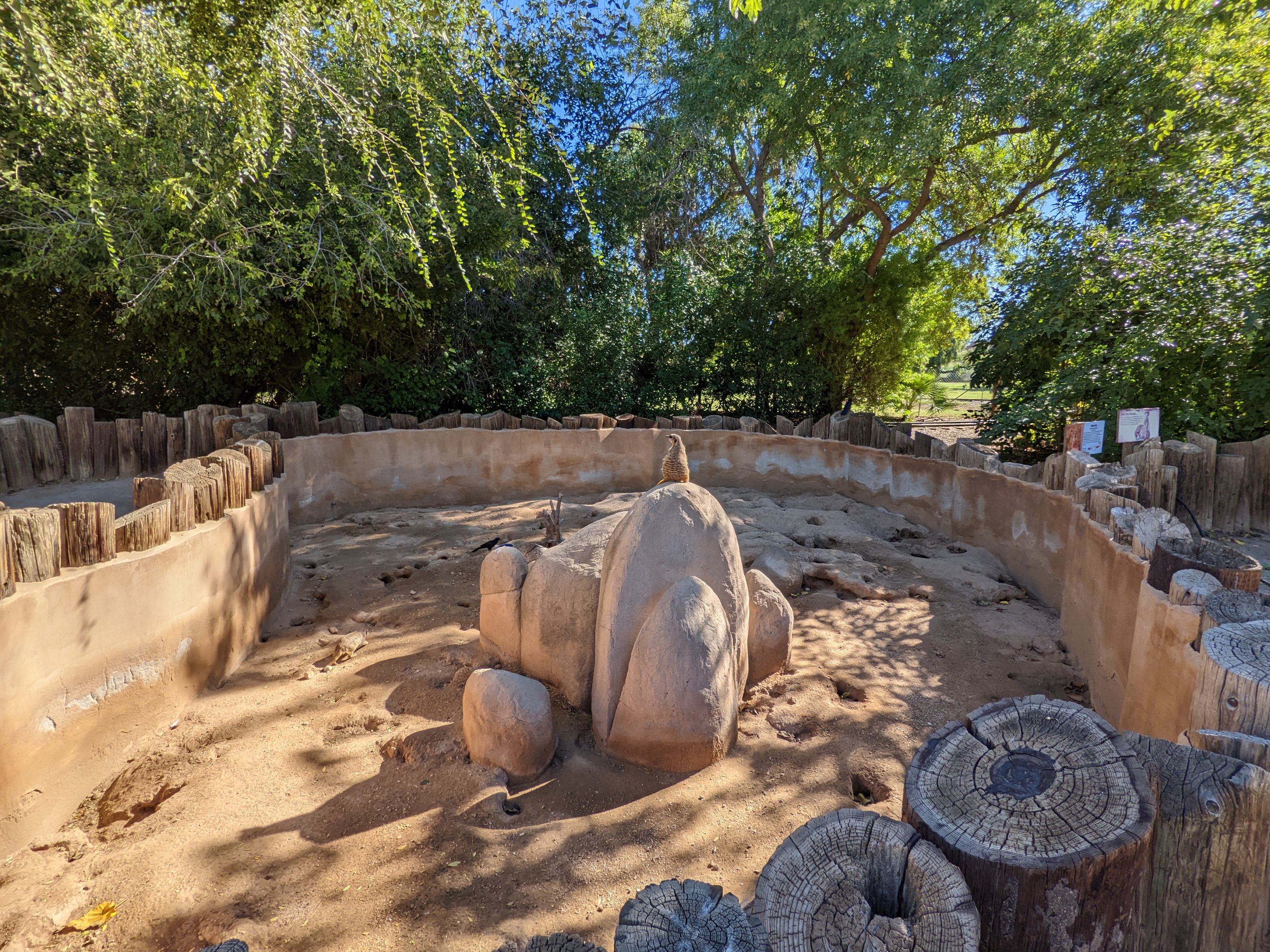 Original Zoo - meerkat