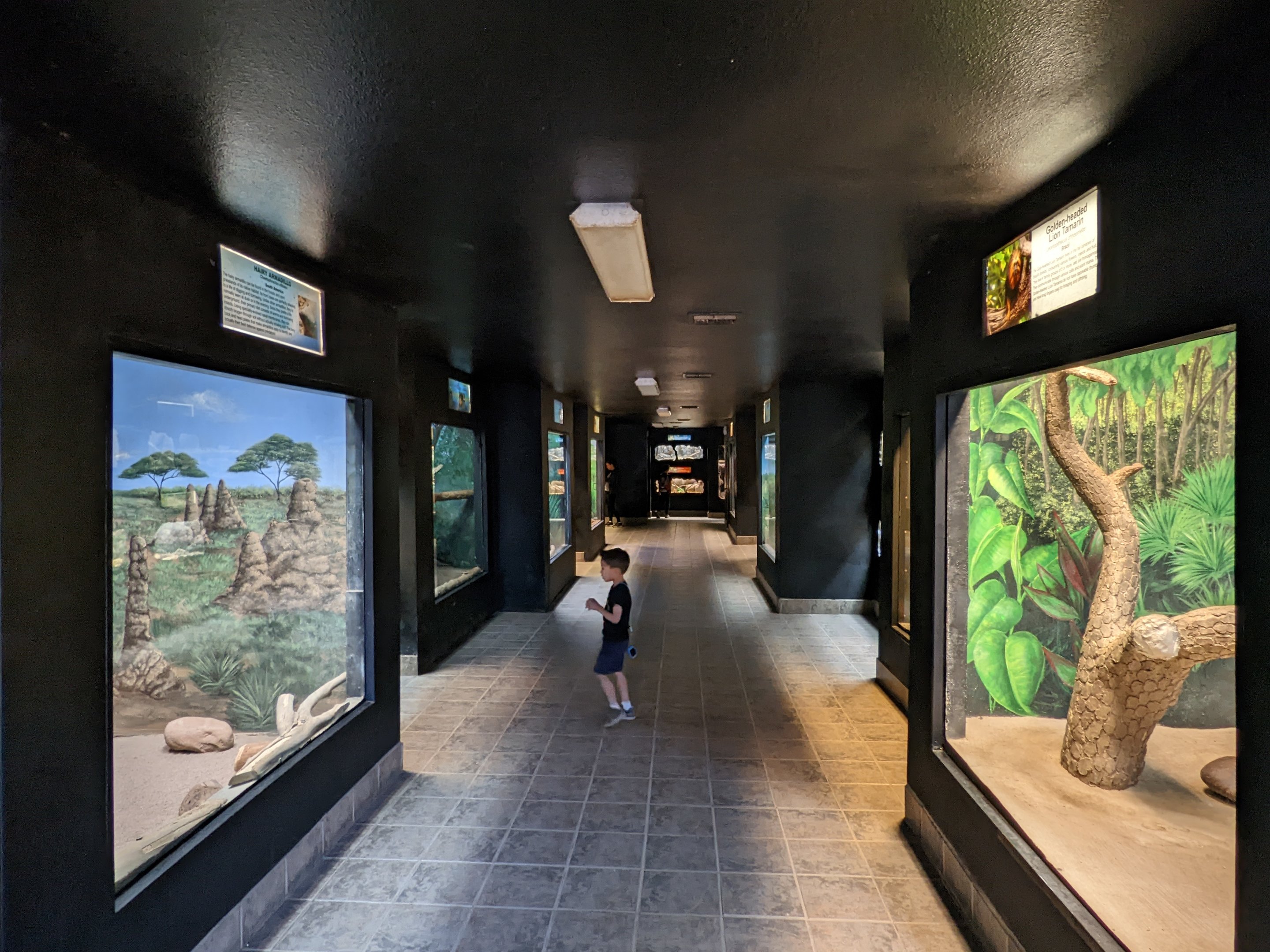 Original Zoo - Small Mammal House enclosure gallery
