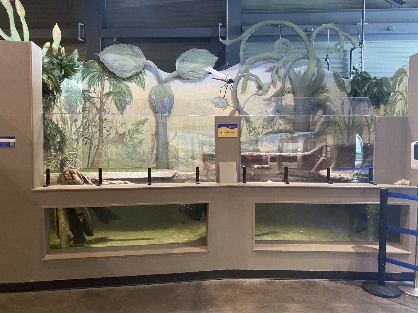 Origins - American Alligator Exhibit