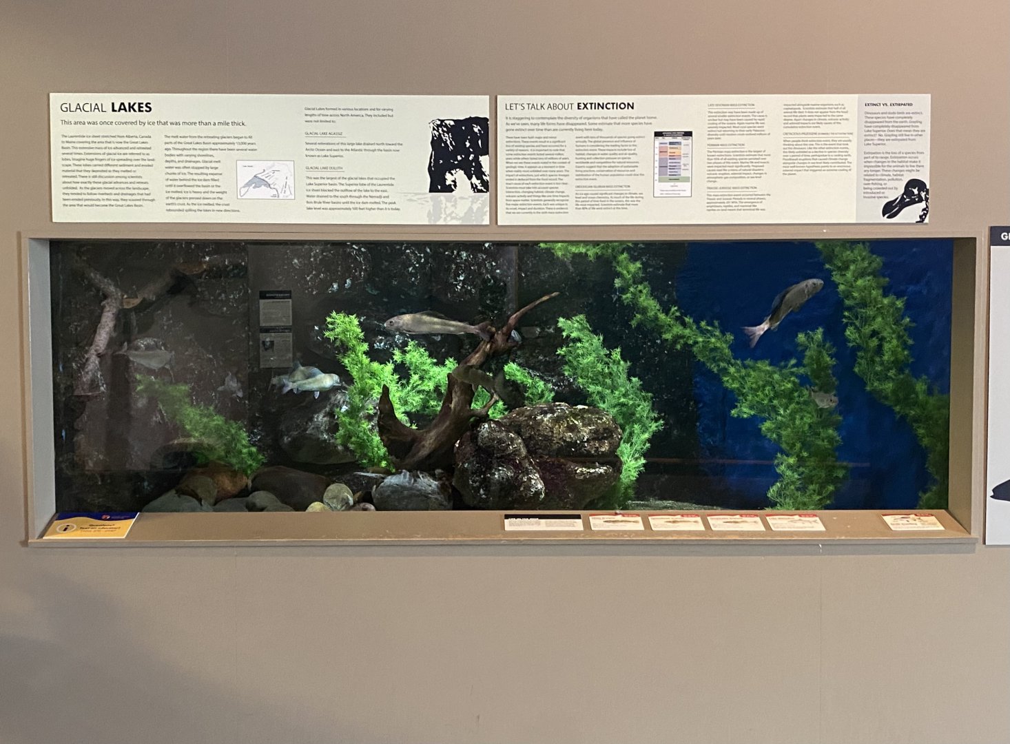 Origins - Glacial Lakes Tank