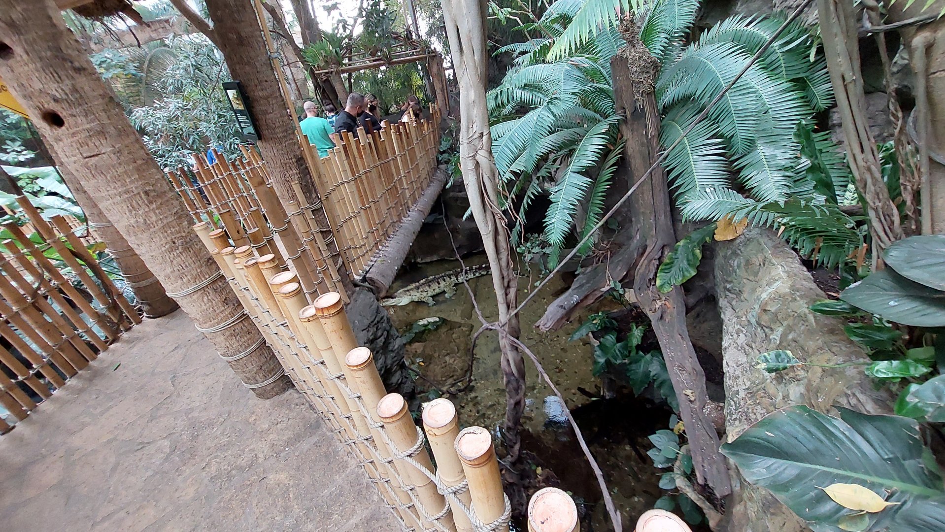 Orinoco Crocodile Cove- Right side view from bridge