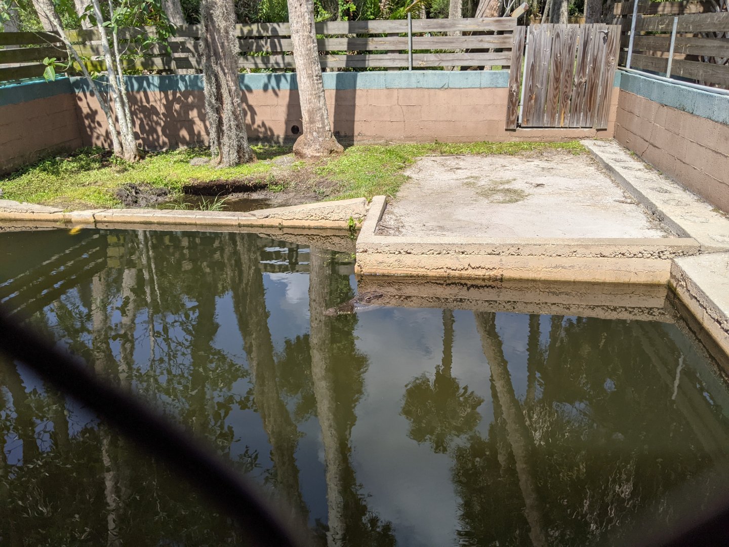 Orinoco Crocodile enclosure