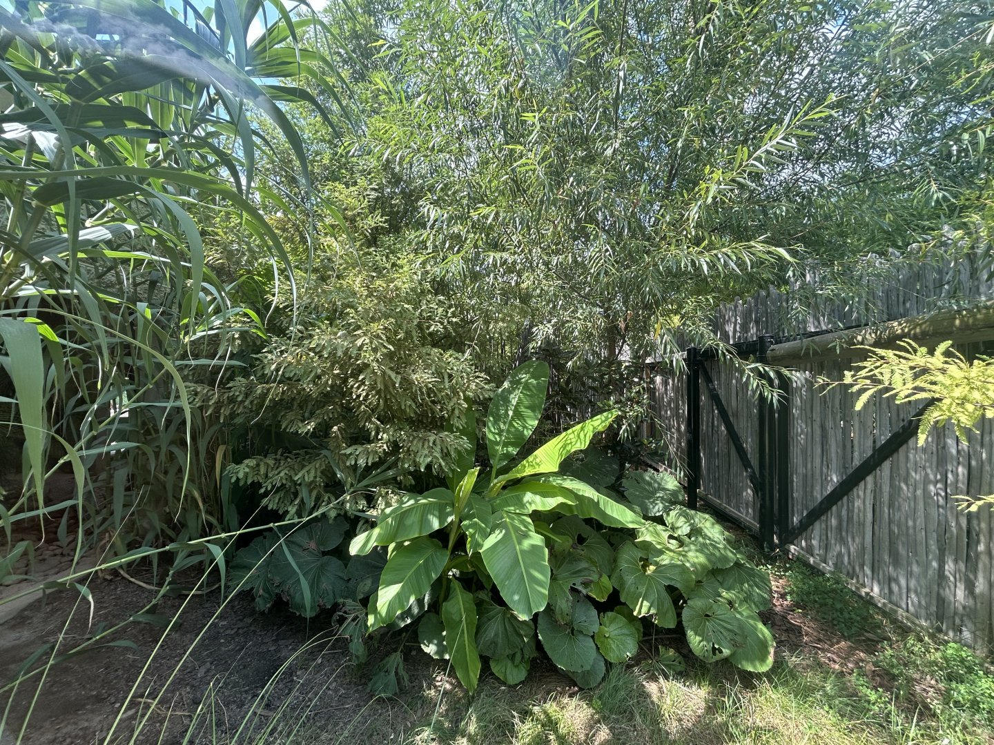 Orinoco Crocodile Exhibit - Alligators and Crocodiles: The Fight to Survive