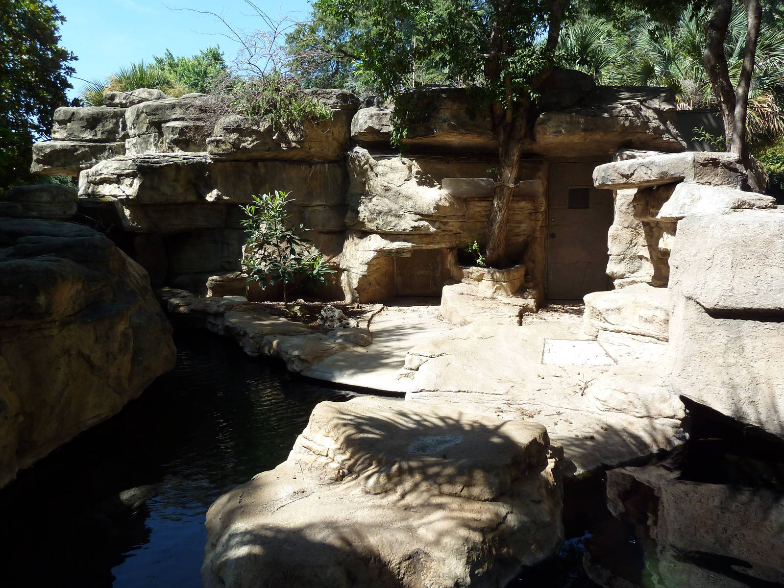 Orinoco Crocodile Exhibit