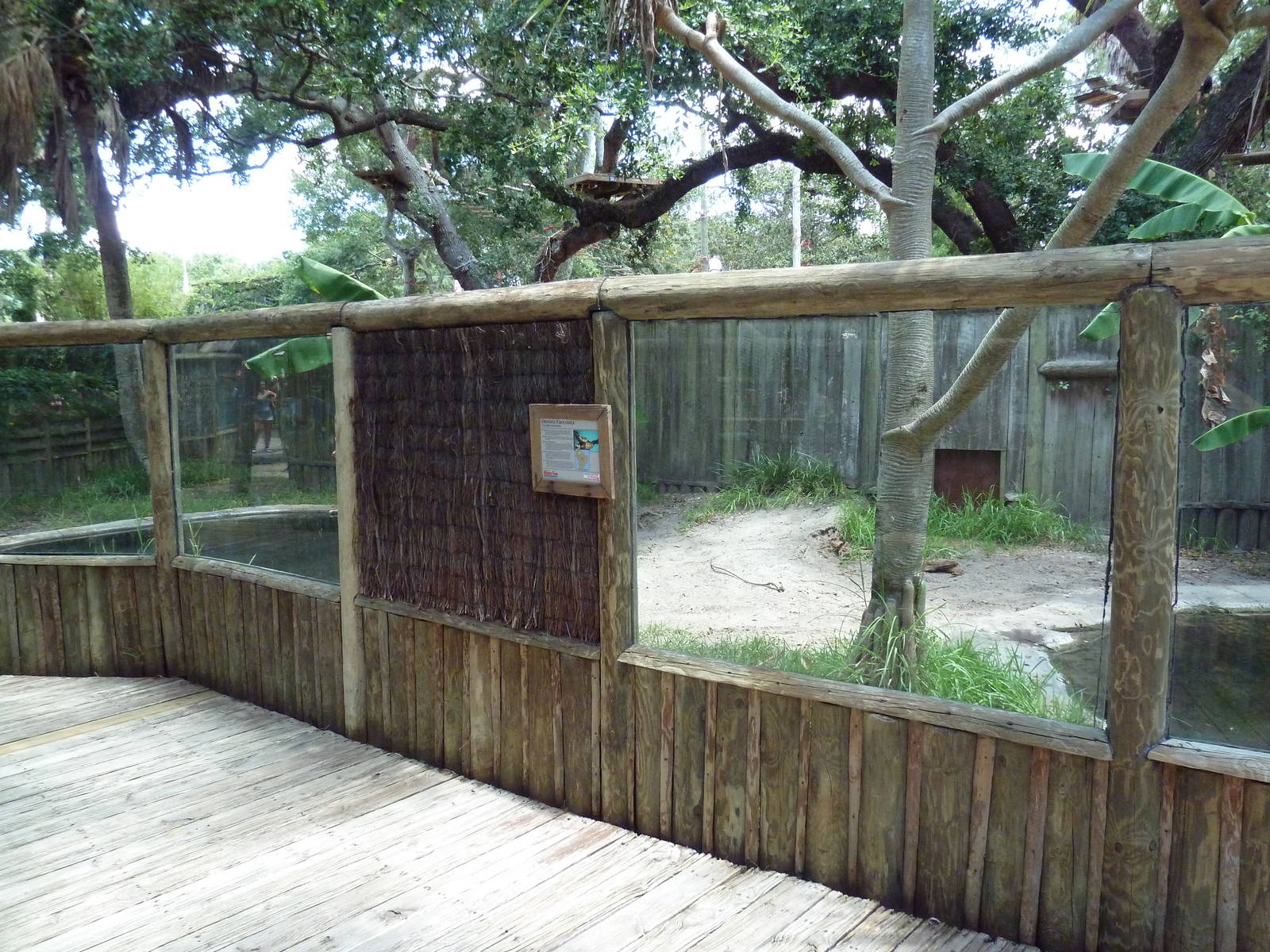 Orinoco Crocodile Exhibit