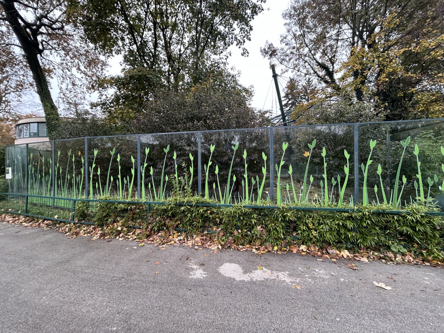 Orinoco Goose Exhibit