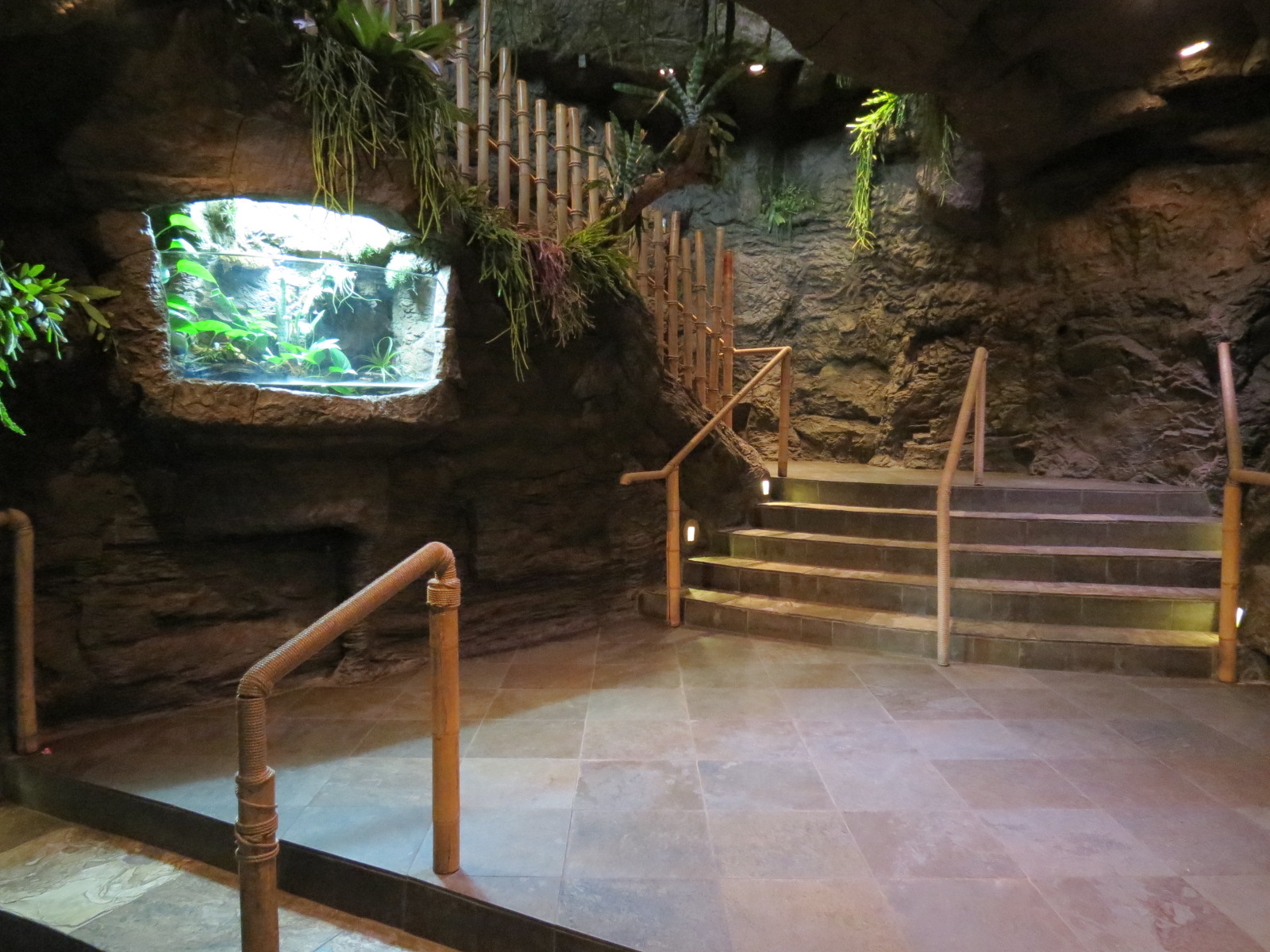 Orinoco Rainforest - Aquatic Level View