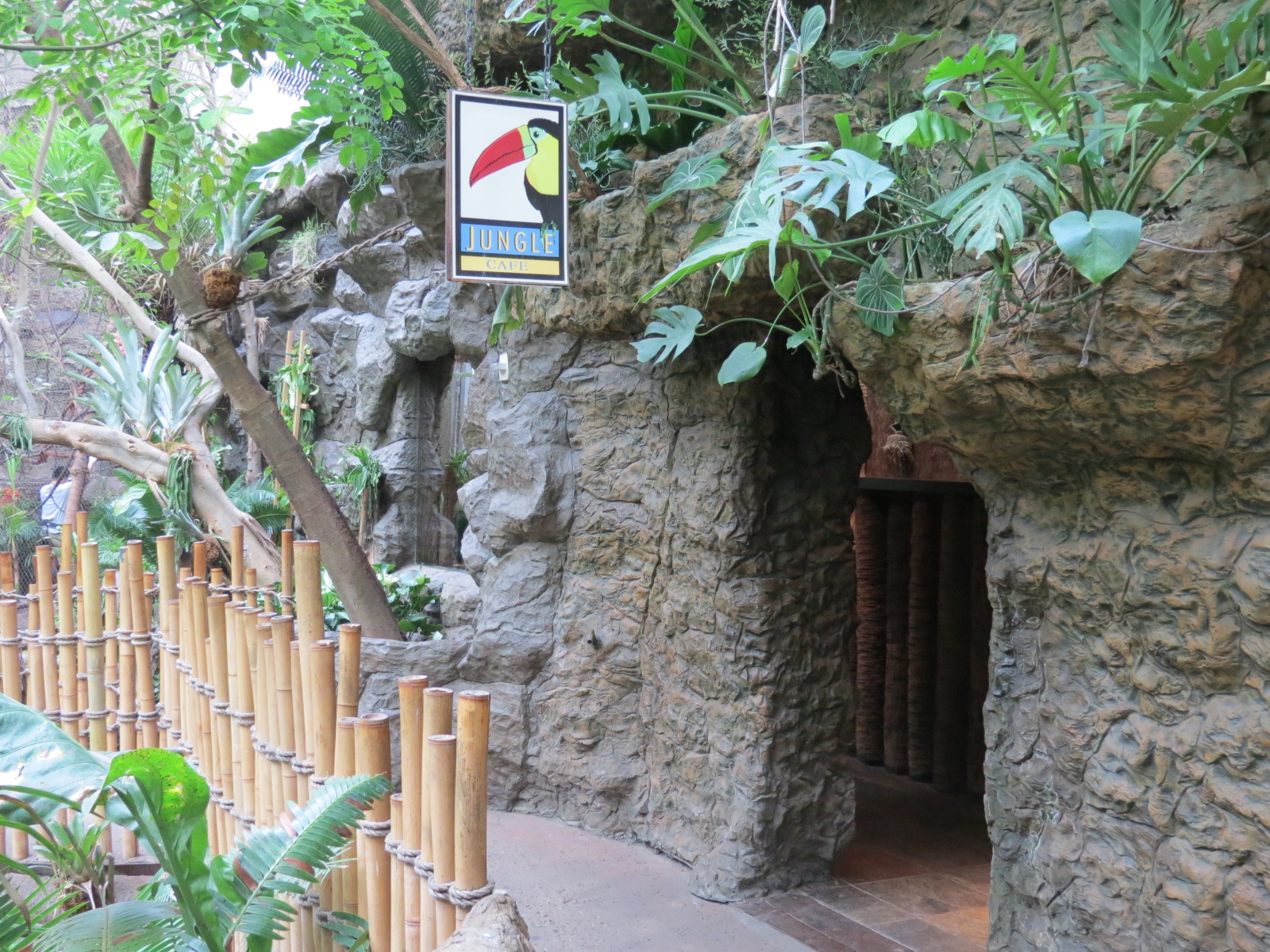 Orinoco Rainforest - Jungle Cafe Exterior