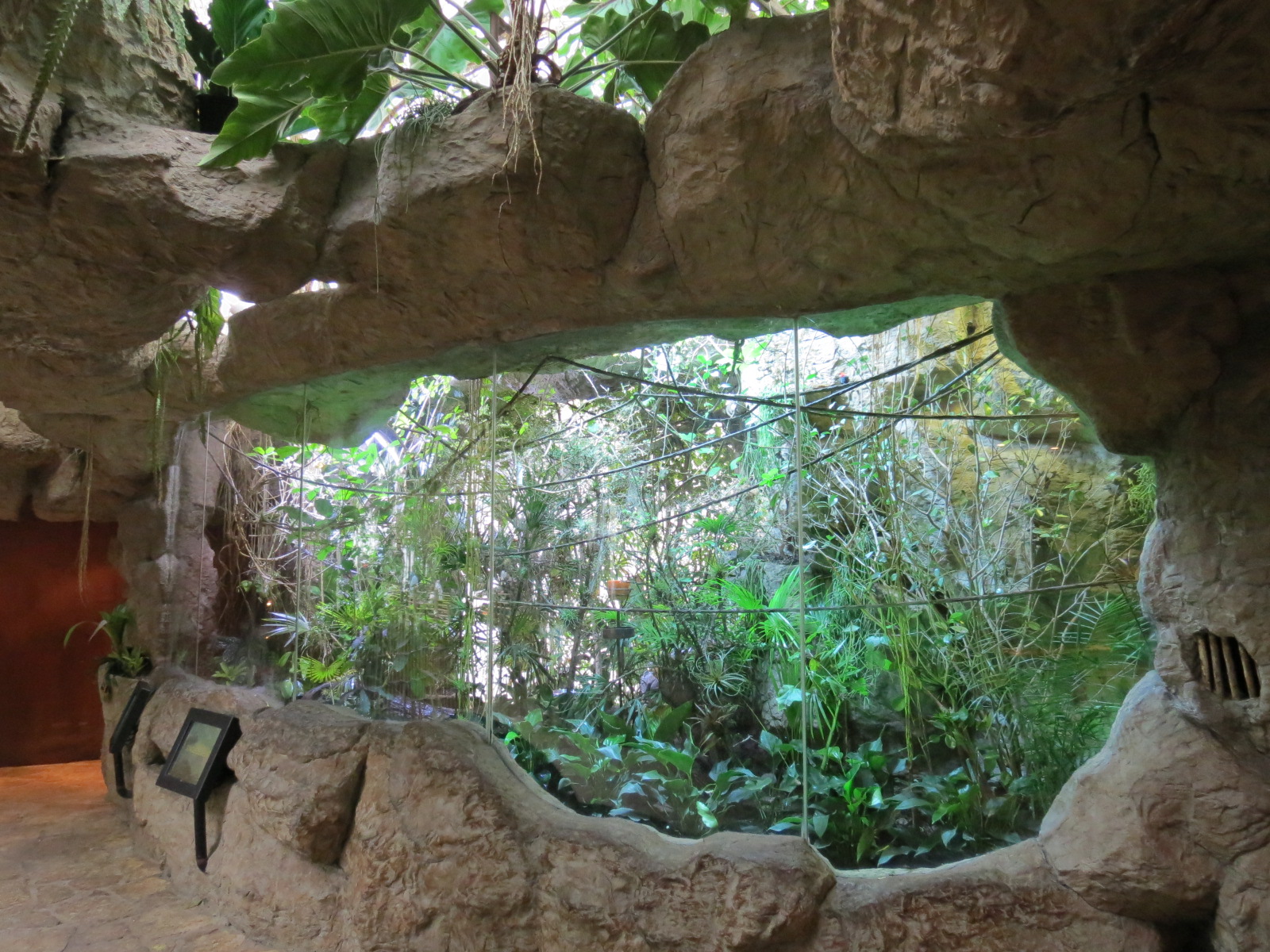 Orinoco Rainforest - Jungle Jewels Exhibit