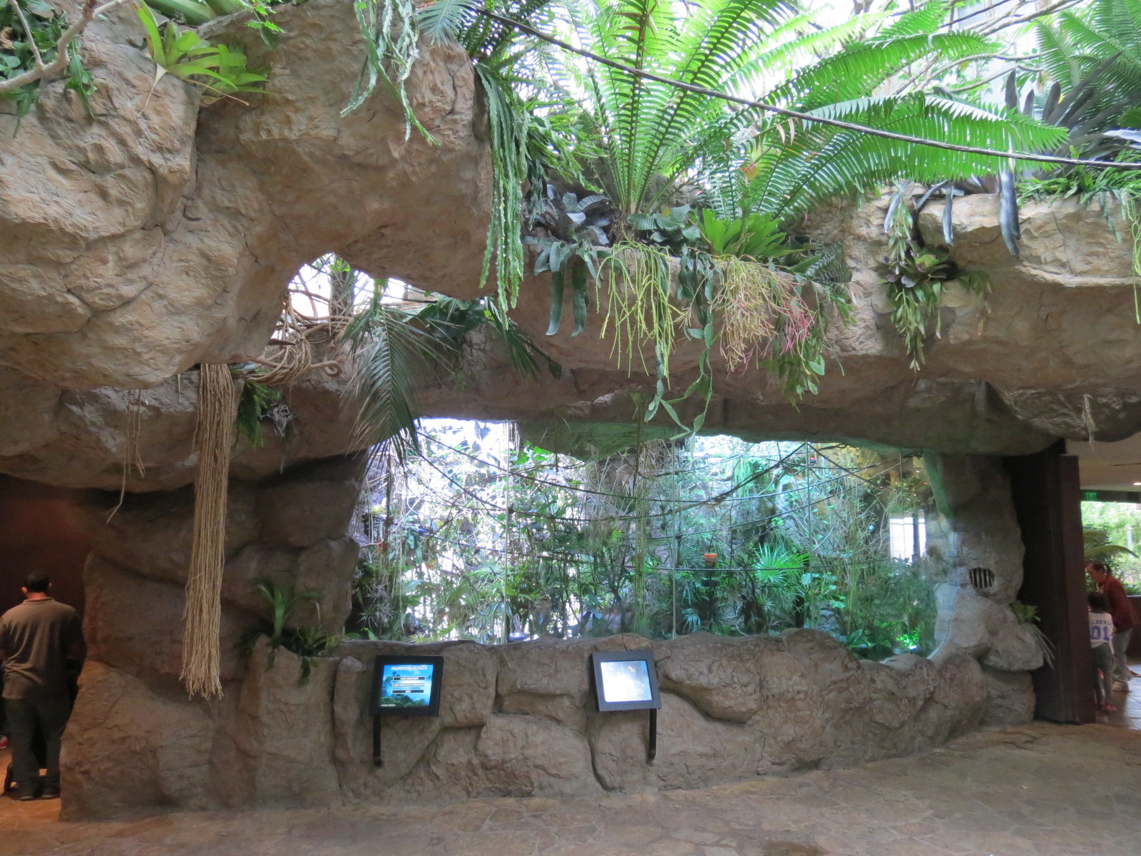 Orinoco Rainforest - Jungle Jewels Exhibit