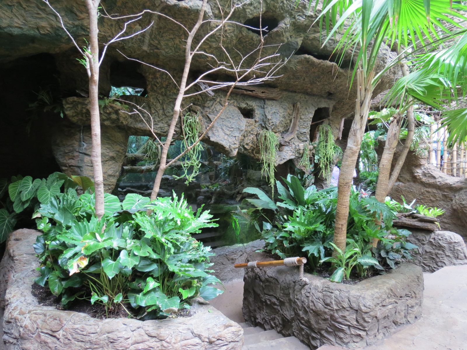 Orinoco Rainforest - River's Edge Lower Exhibit