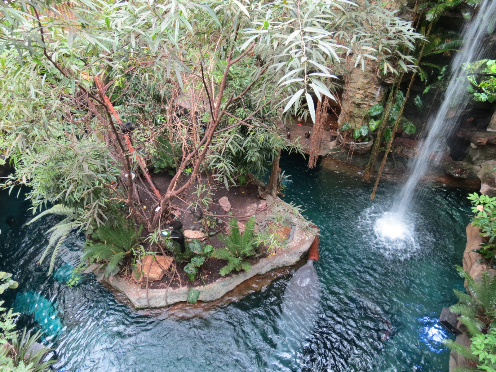 Orinoco Rainforest - Waterfall and River Exhibit