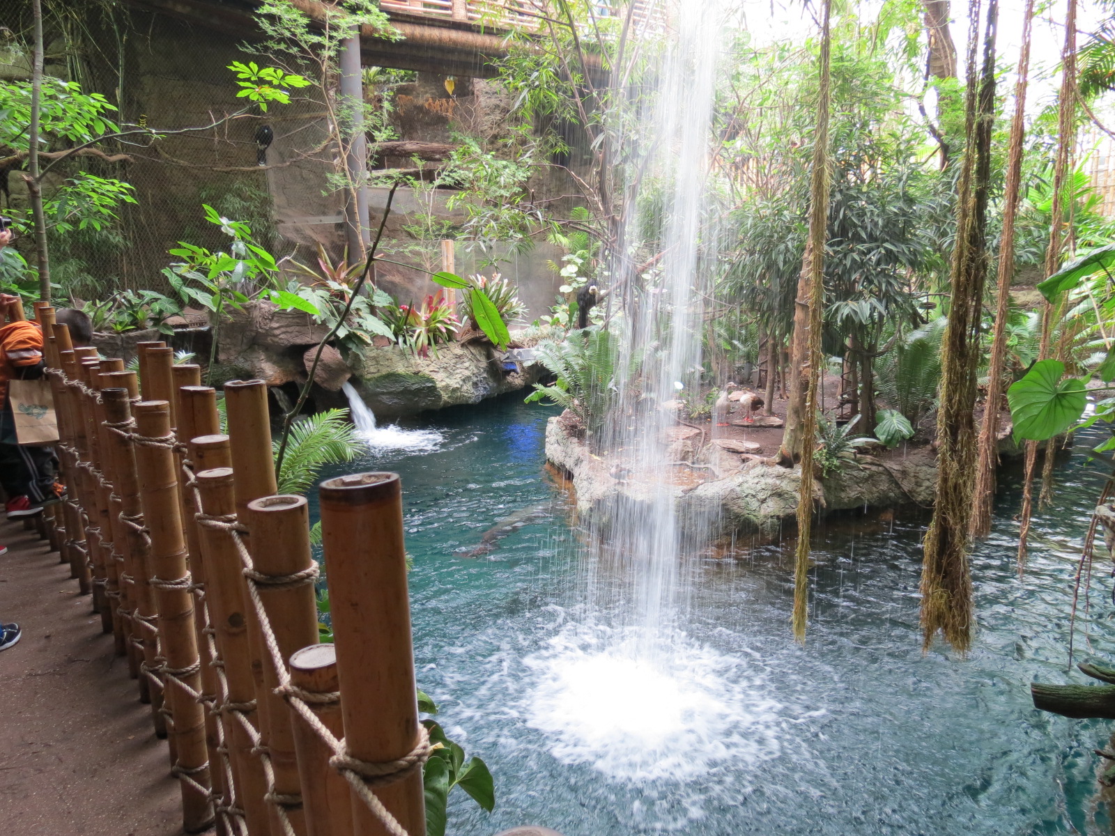 Orinoco Rainforest - Waterfall and River Exhibit