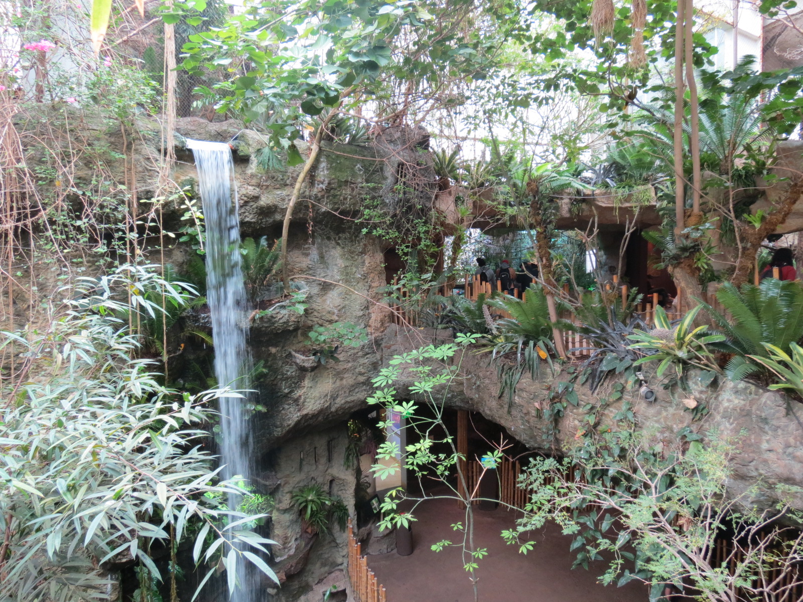 Orinoco Rainforest - Waterfall