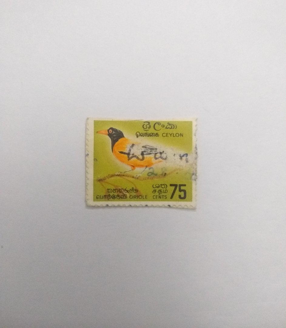 Oriole (Black-hooded oriole) - Postage stamp Sri Lanka
