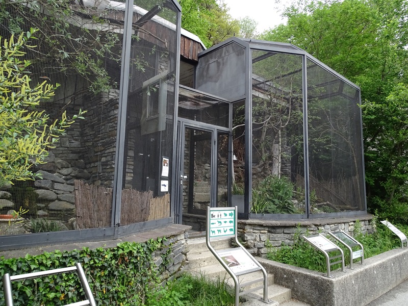 Oriole, plover and whitethroat enclosure