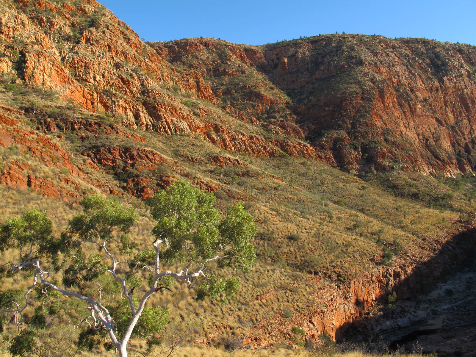 Ormiston Gorge, West MacDonnell National Park, NT