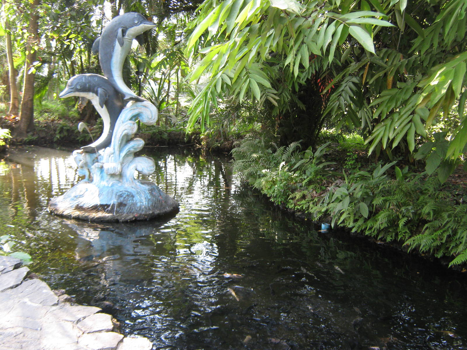 ornamental fish ponds